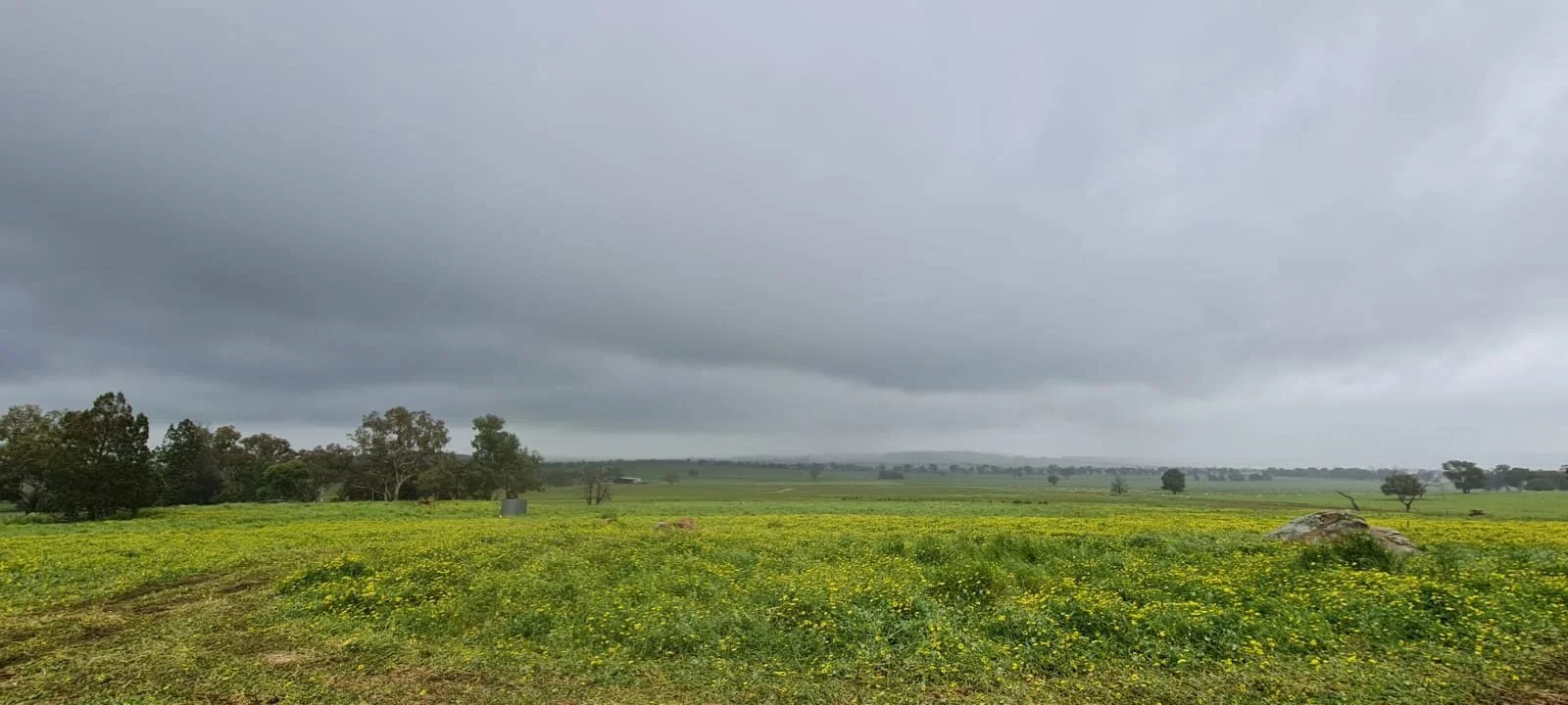 MTX-Narraburra-site-03.jpg