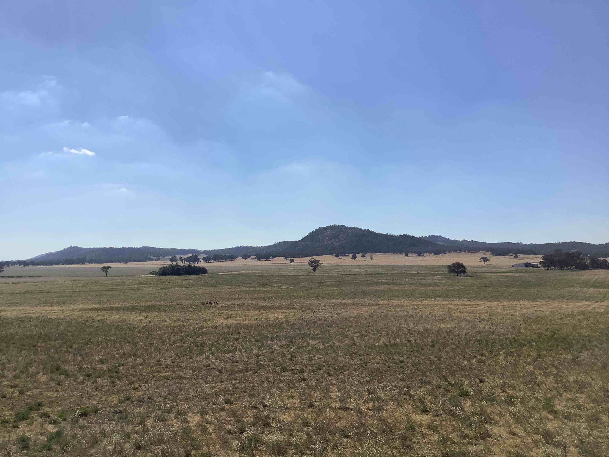 MTX-Narraburra-site-02.jpg