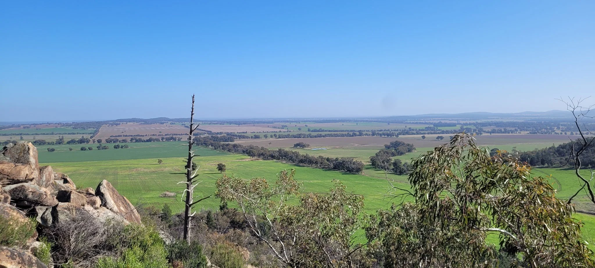 MTX-Narraburra-site-01.jpg