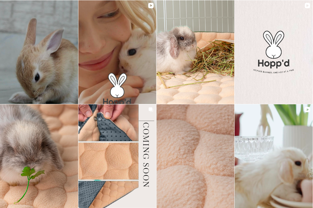 Collage of photos featuring pet rabbits and a young girl interacting with them, close-up of a bunny with a plant, logo of Hopp'd with a bunny icon and tagline, and a message indicating upcoming product release.