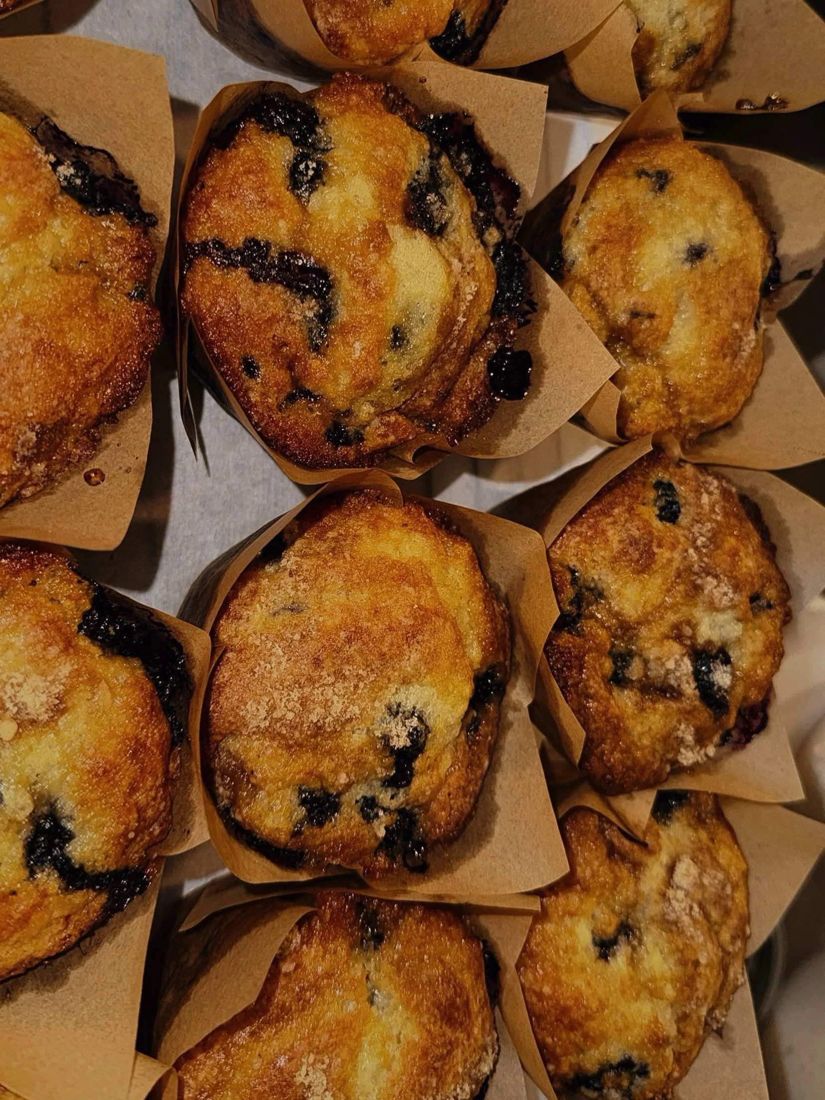 Wednesday evening blueberry muffins 🍞🫐 perfecting our craft has never tasted so good!