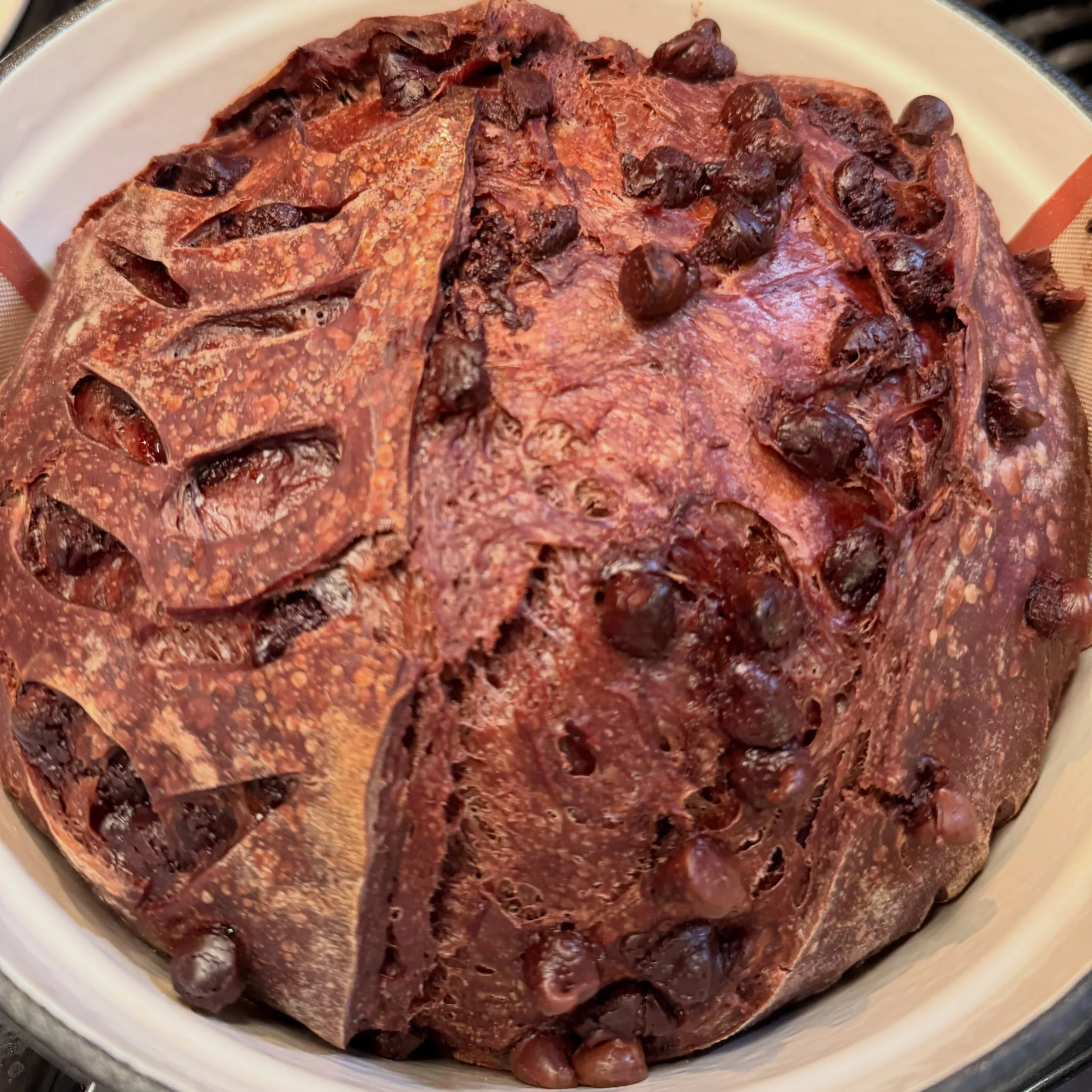 Double Chocolate Sourdough Loaf ✨ 16 July 2026