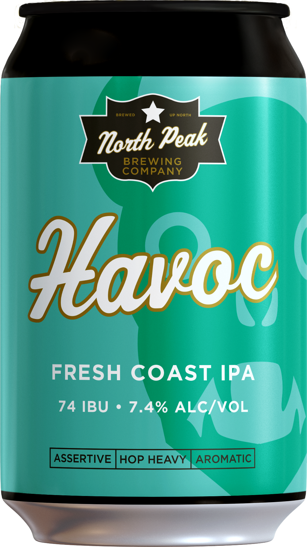NP Havoc Black can.png