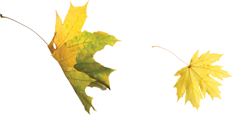 Join Us for a Fall Experience at East Bridge Academy of Excellence