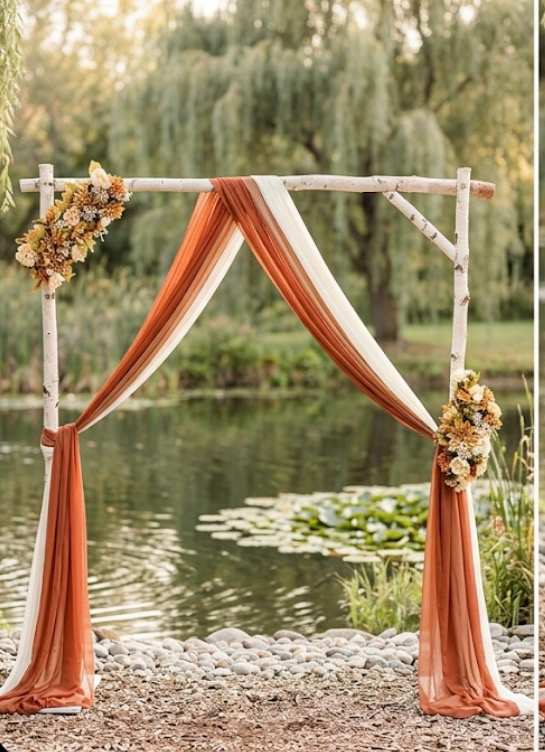 Birch Wood Arch