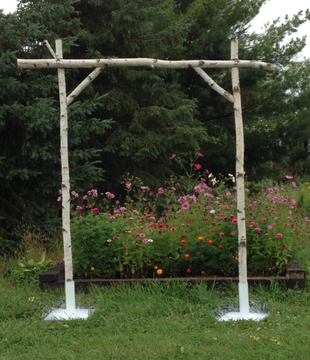 Birch Wood Arch 