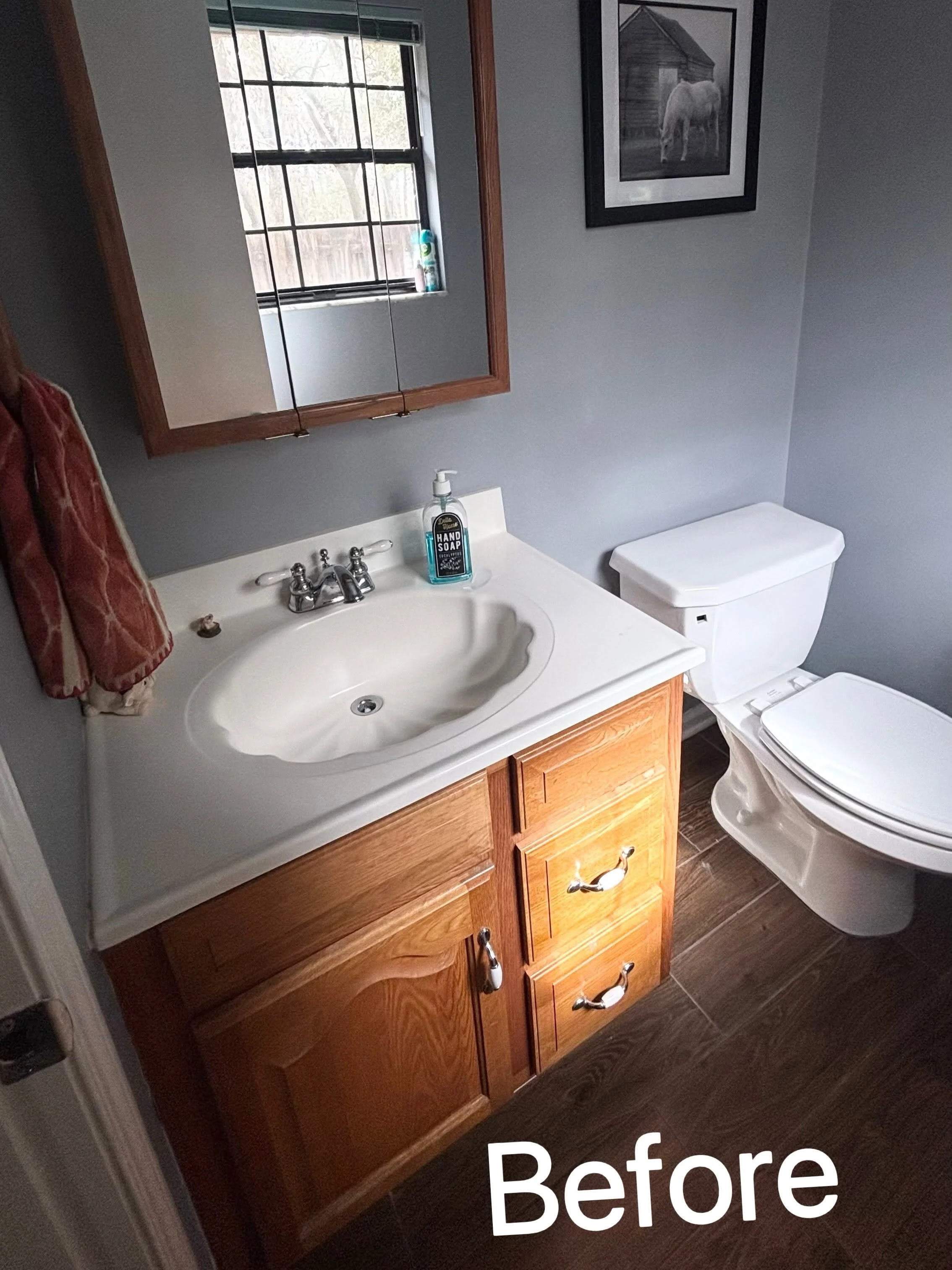 Residential guest bathroom remodel-Before