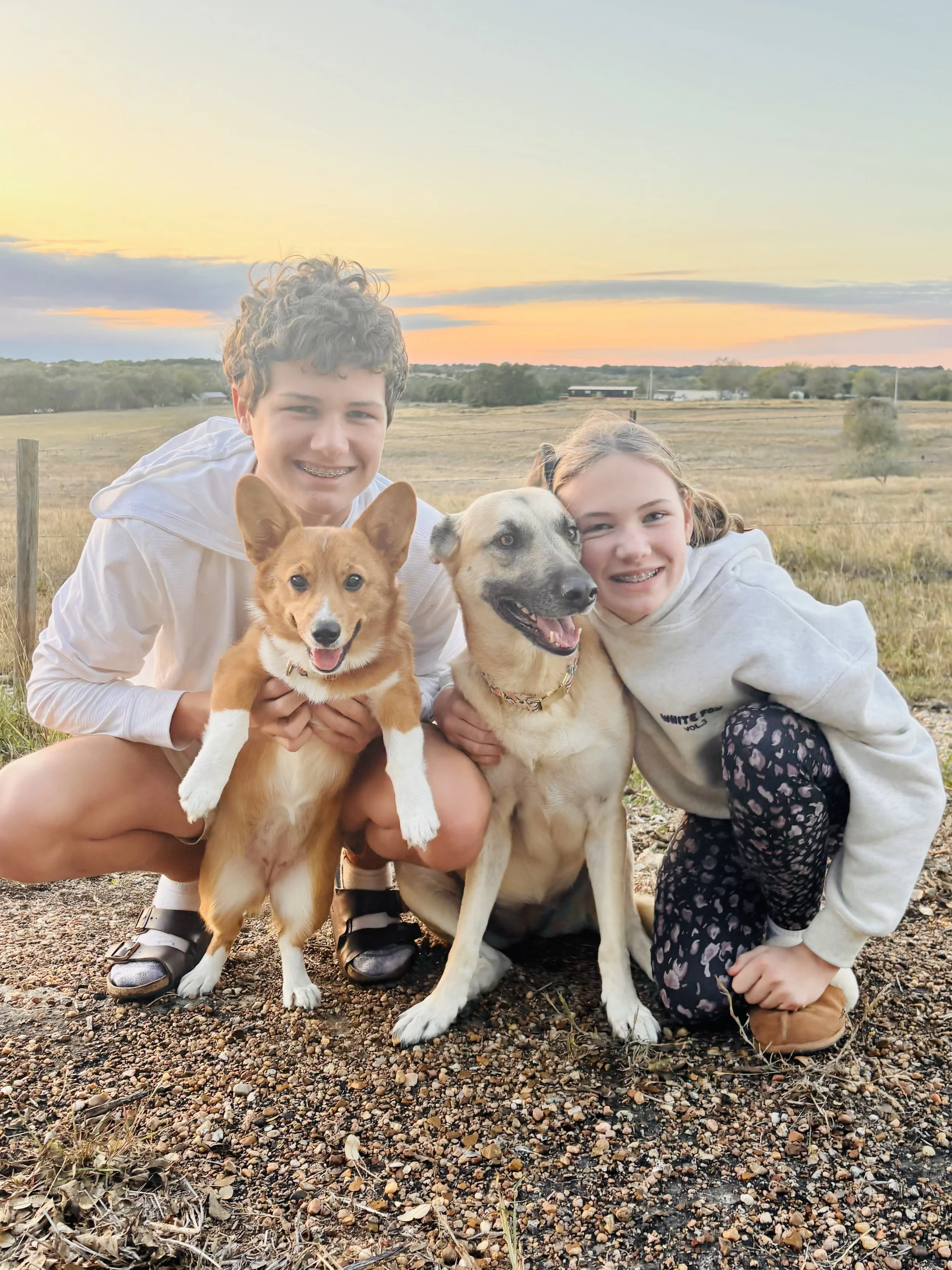 Two children with barrette dogs in an open field at sunset, smiling at the camera.