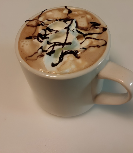 A white coffee mug filled with hot chocolate topped with whipped cream and drizzled with chocolate syrup on a white surface.