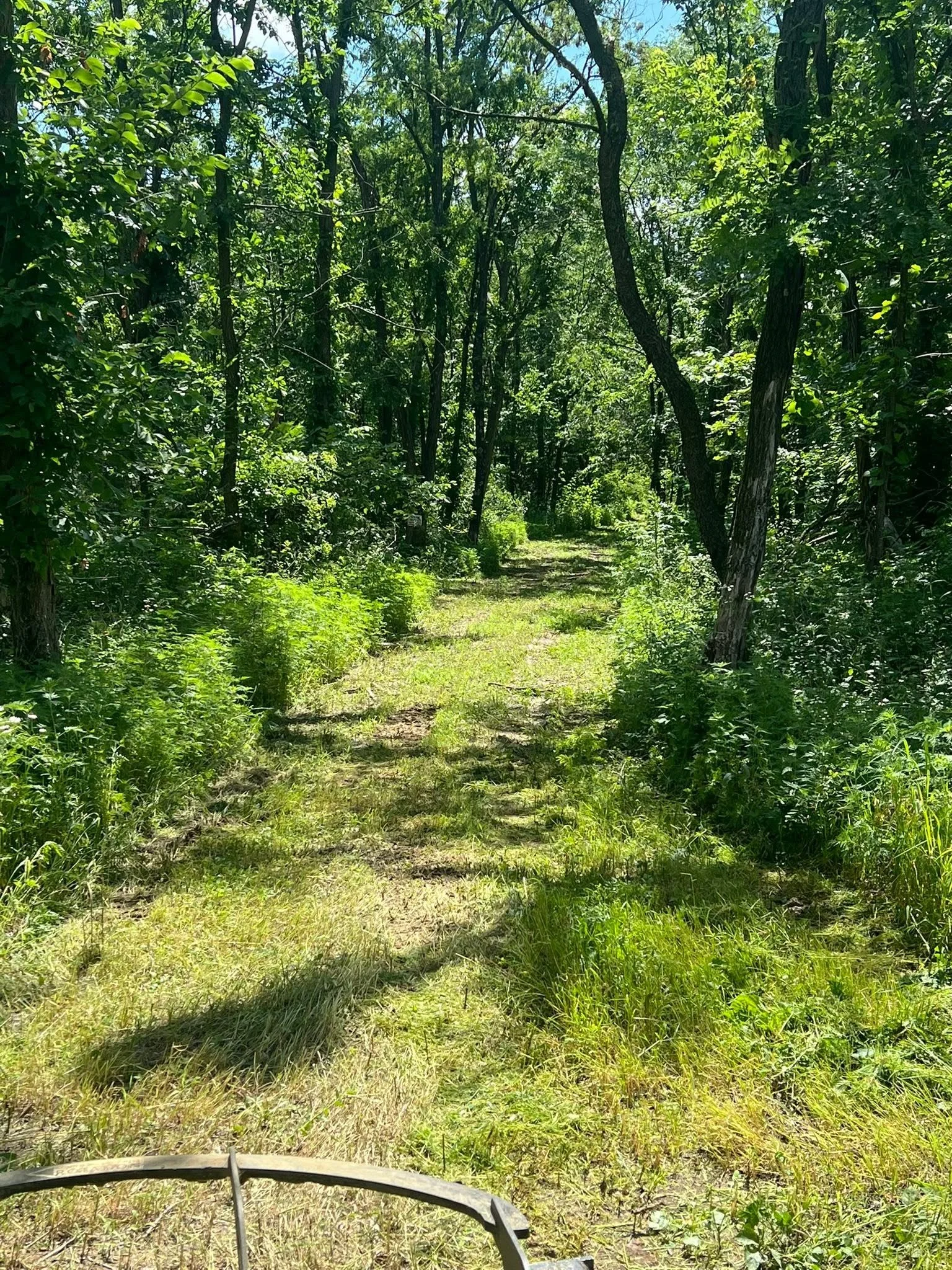 land clearing services