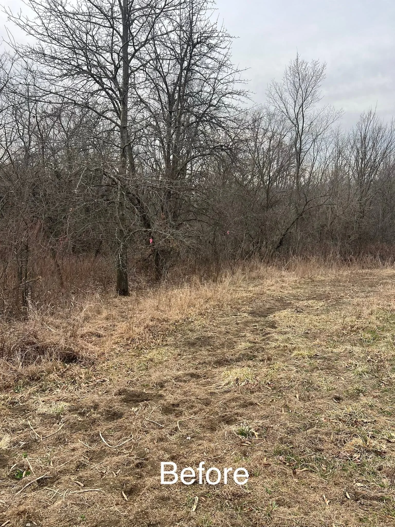 A dirt trail runs through a grassy area with leafless trees in the background. The sky is overcast, giving the scene a dull appearance.
