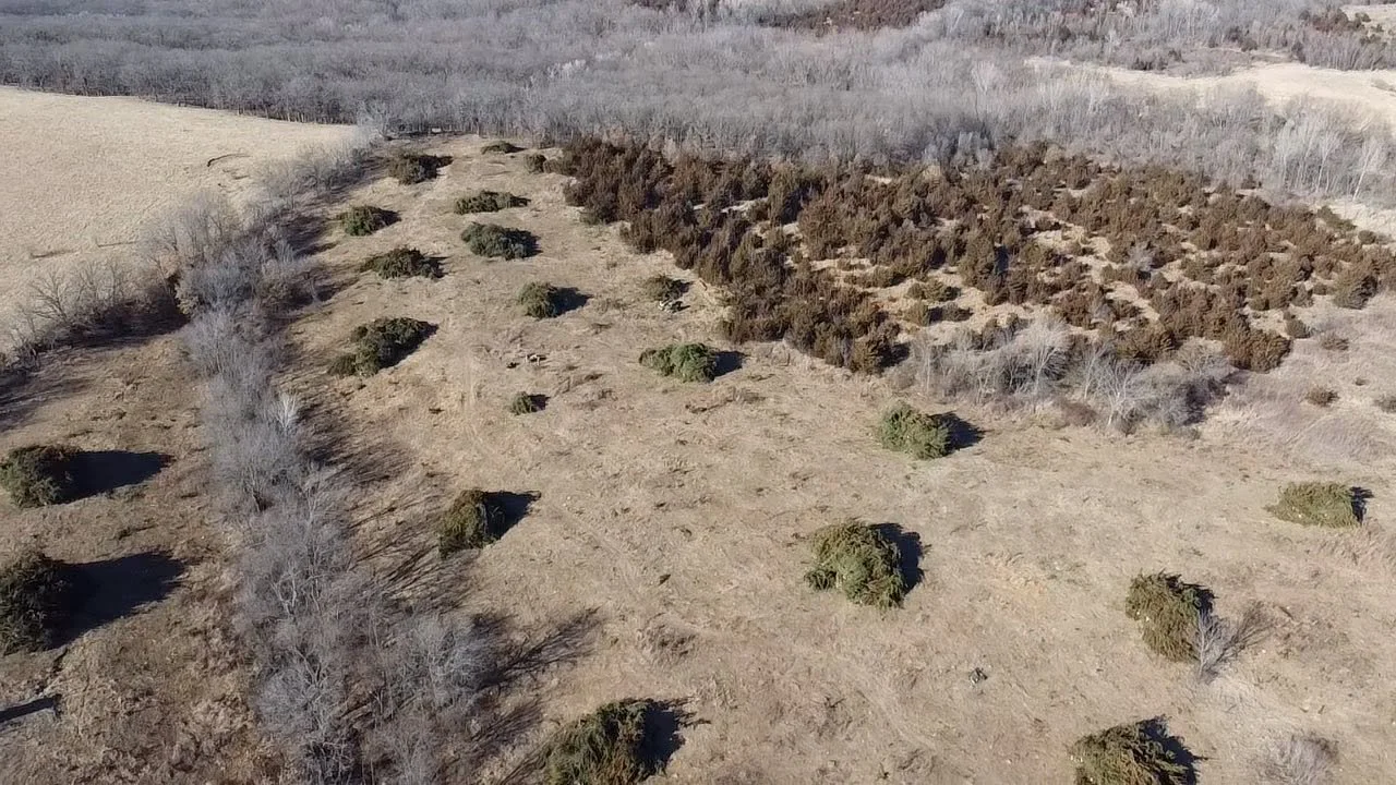 land clearing services