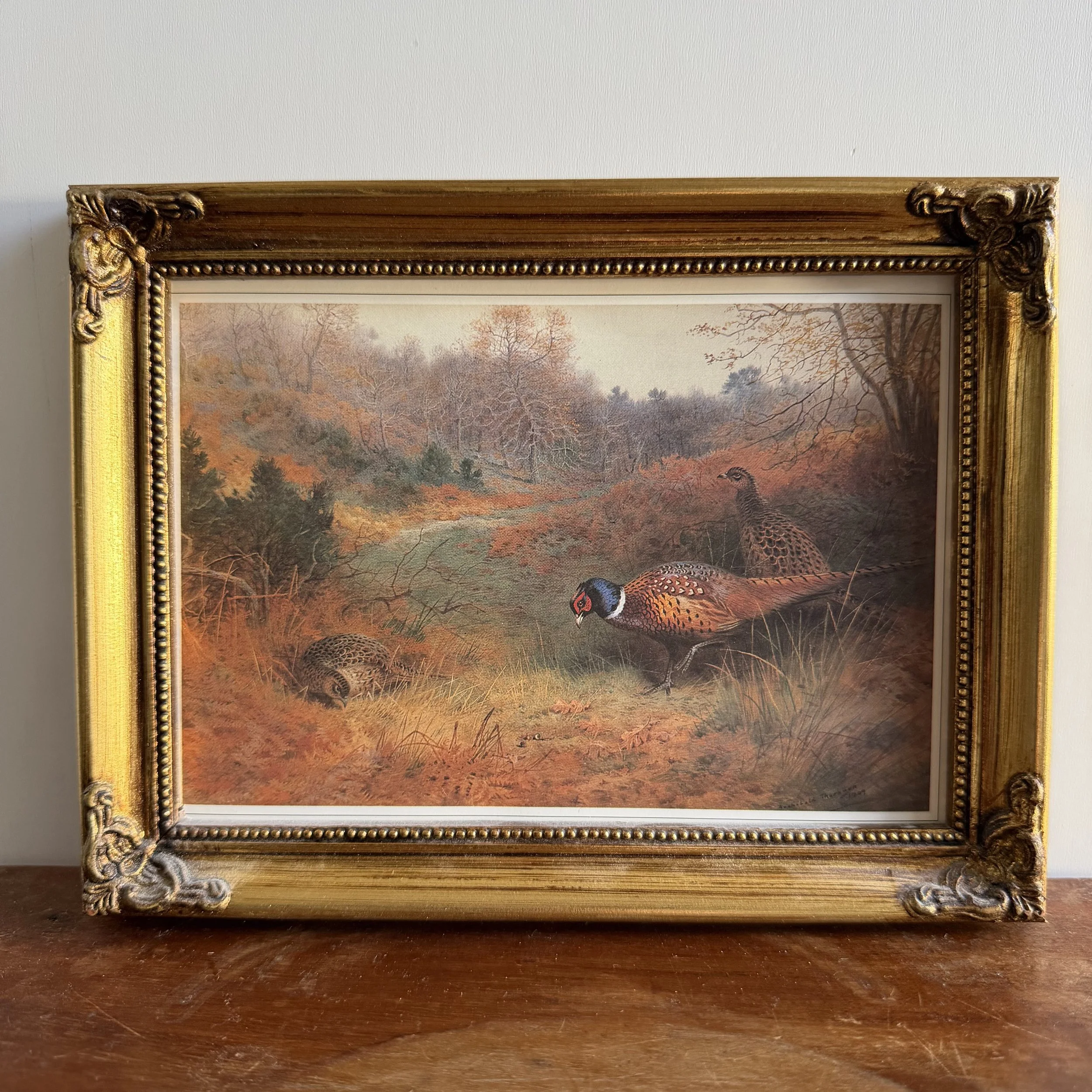 Vintage Frame - Quail Print
