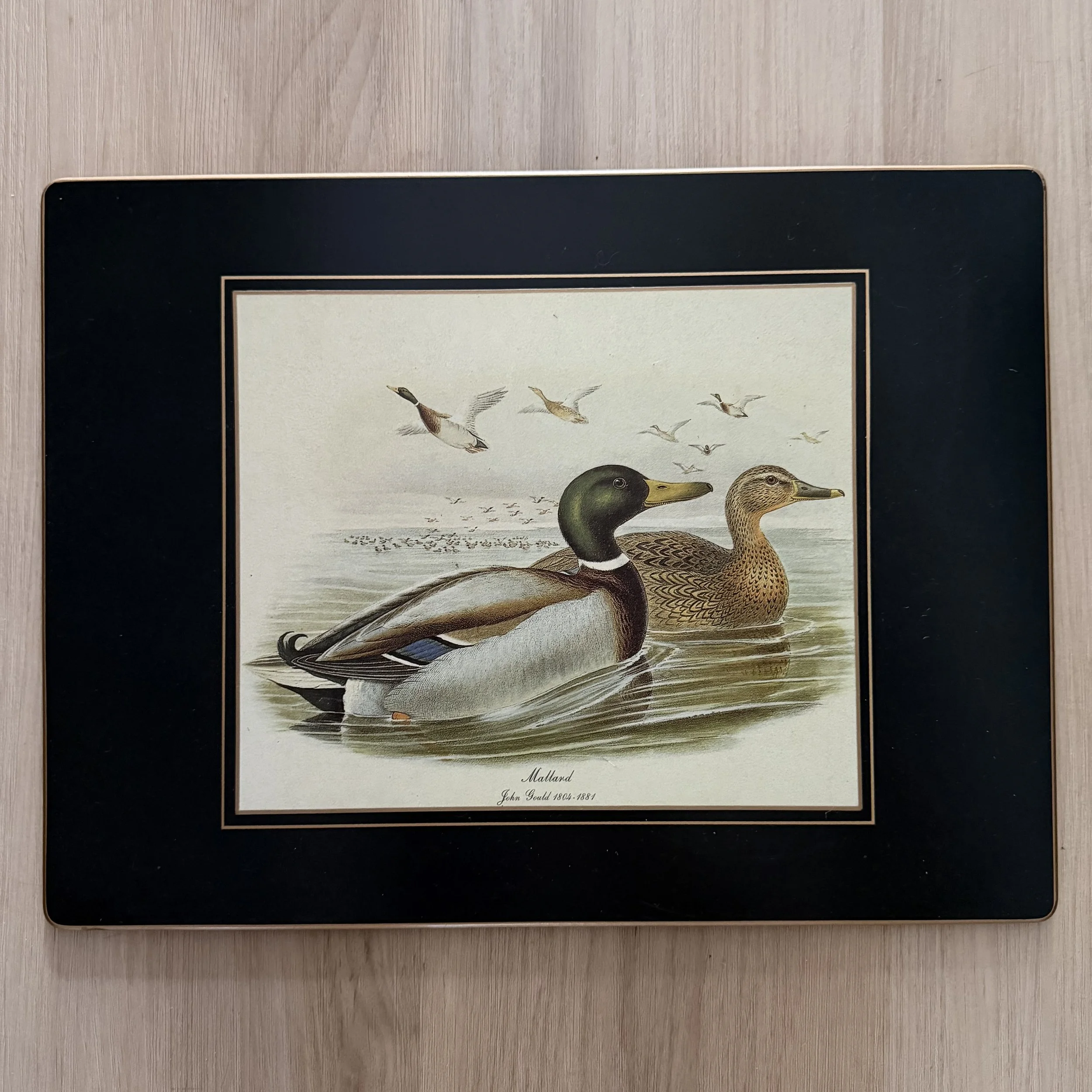 IMG_0183.jpeg