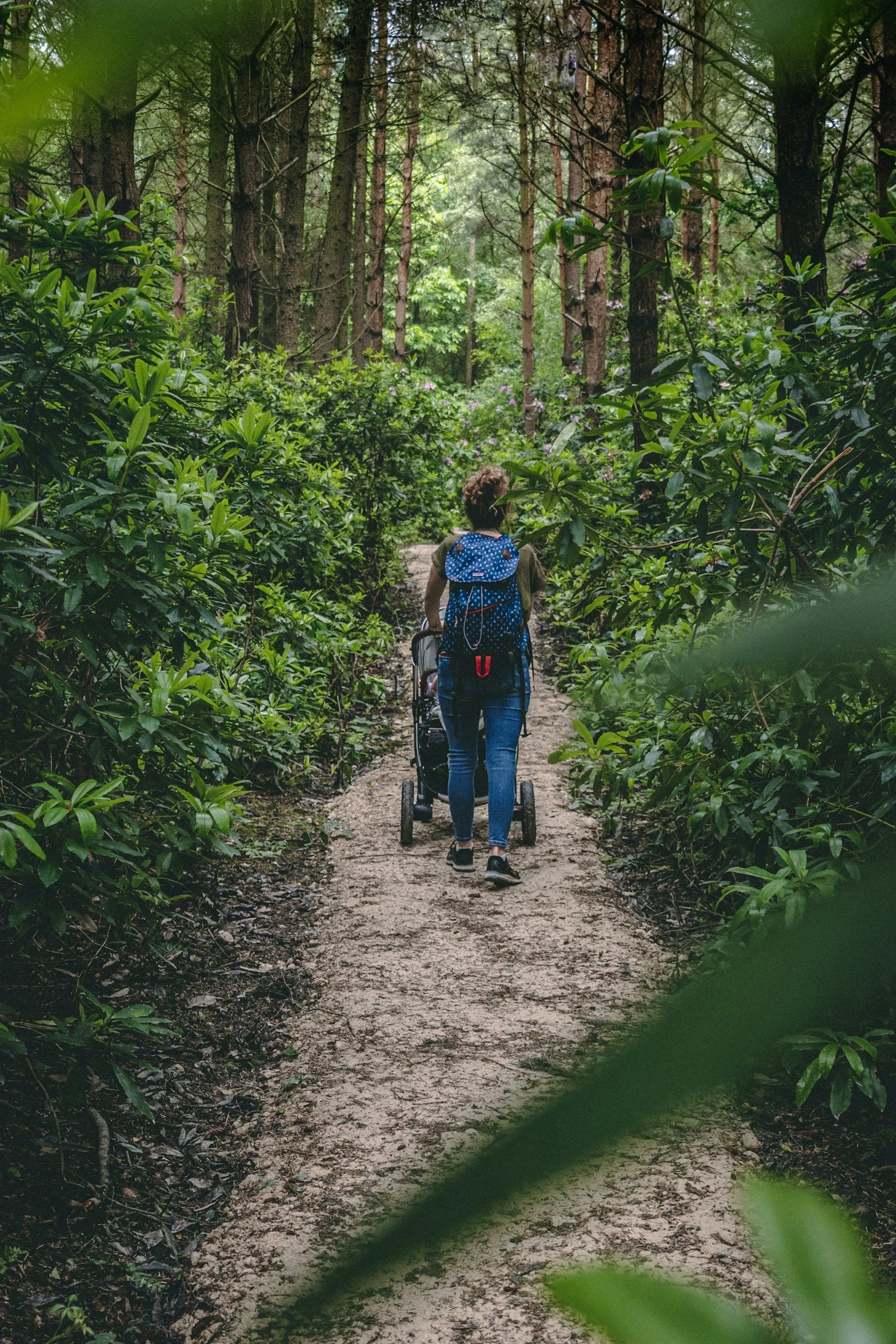 Person walking on a dirt trail through a lush green forest, carrying a backpack and pushing a stroller.