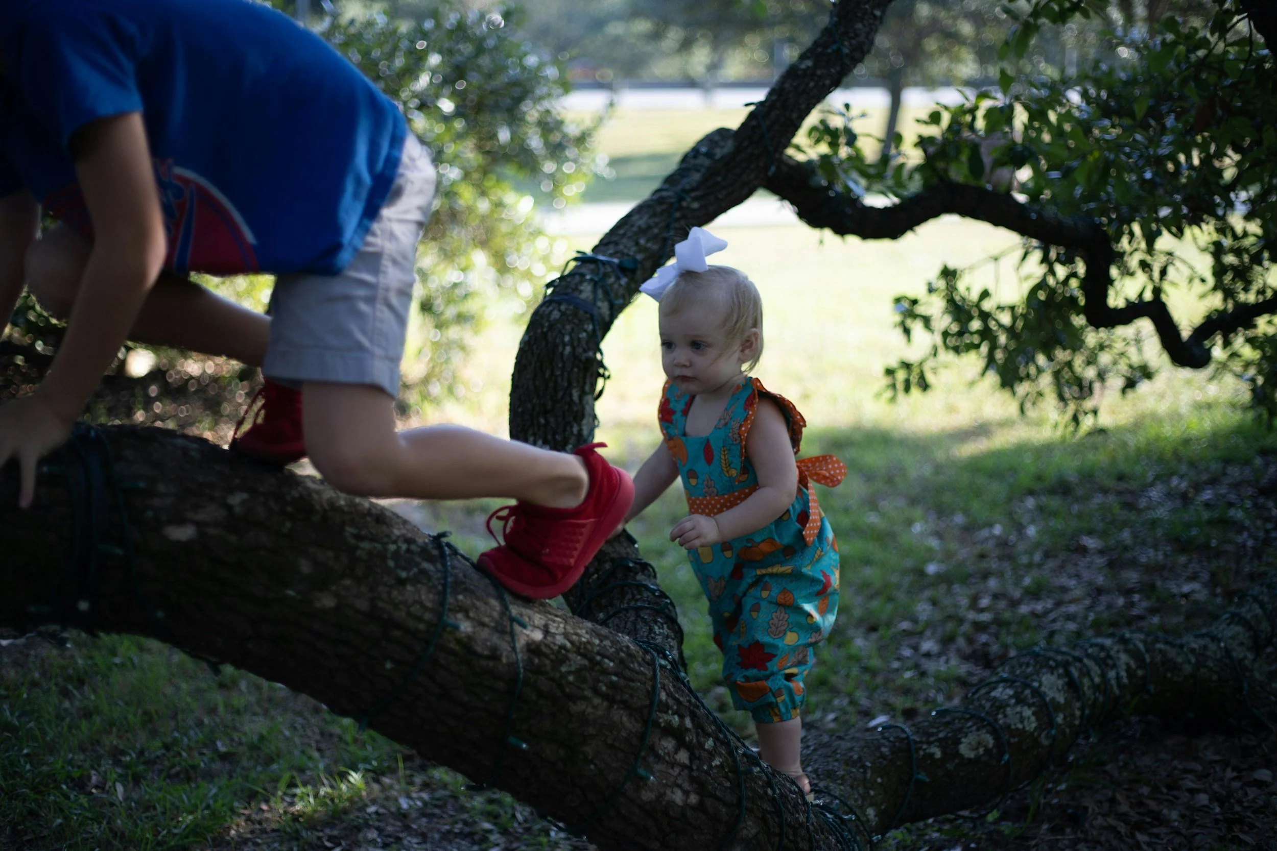 A young girl with a white bow in her hair, wearing a colorful sleeveless dress, is climbing on a large tree branch while an older child in a blue shirt and khaki shorts helps her, in a sunny park with green trees and grass.