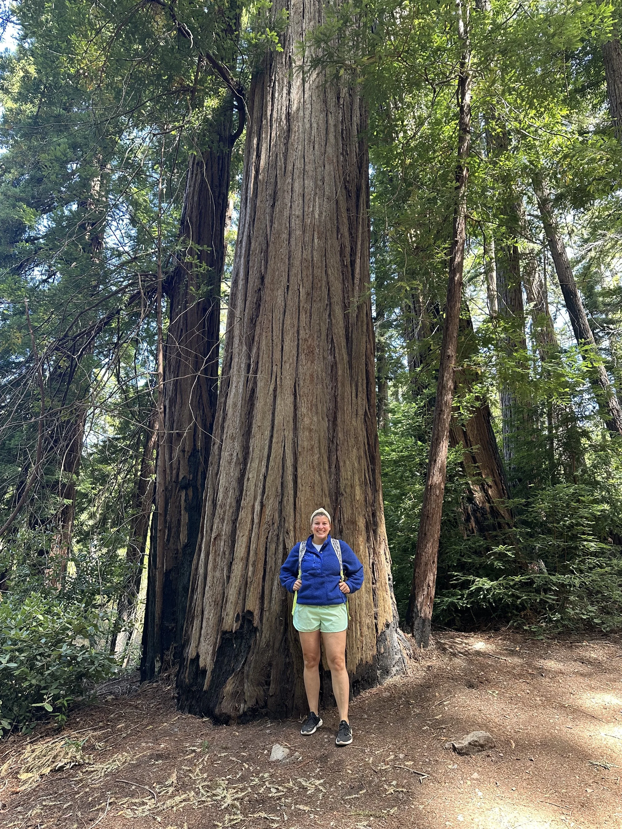 A woman with blonde hair, wearing a blue jacket, light green shorts, black running shoes, and a yellow backpack, stands on a forest trail in front of a large redwood tree. She is smiling and holding her hands on her hips in a forest with tall trees and greenery.