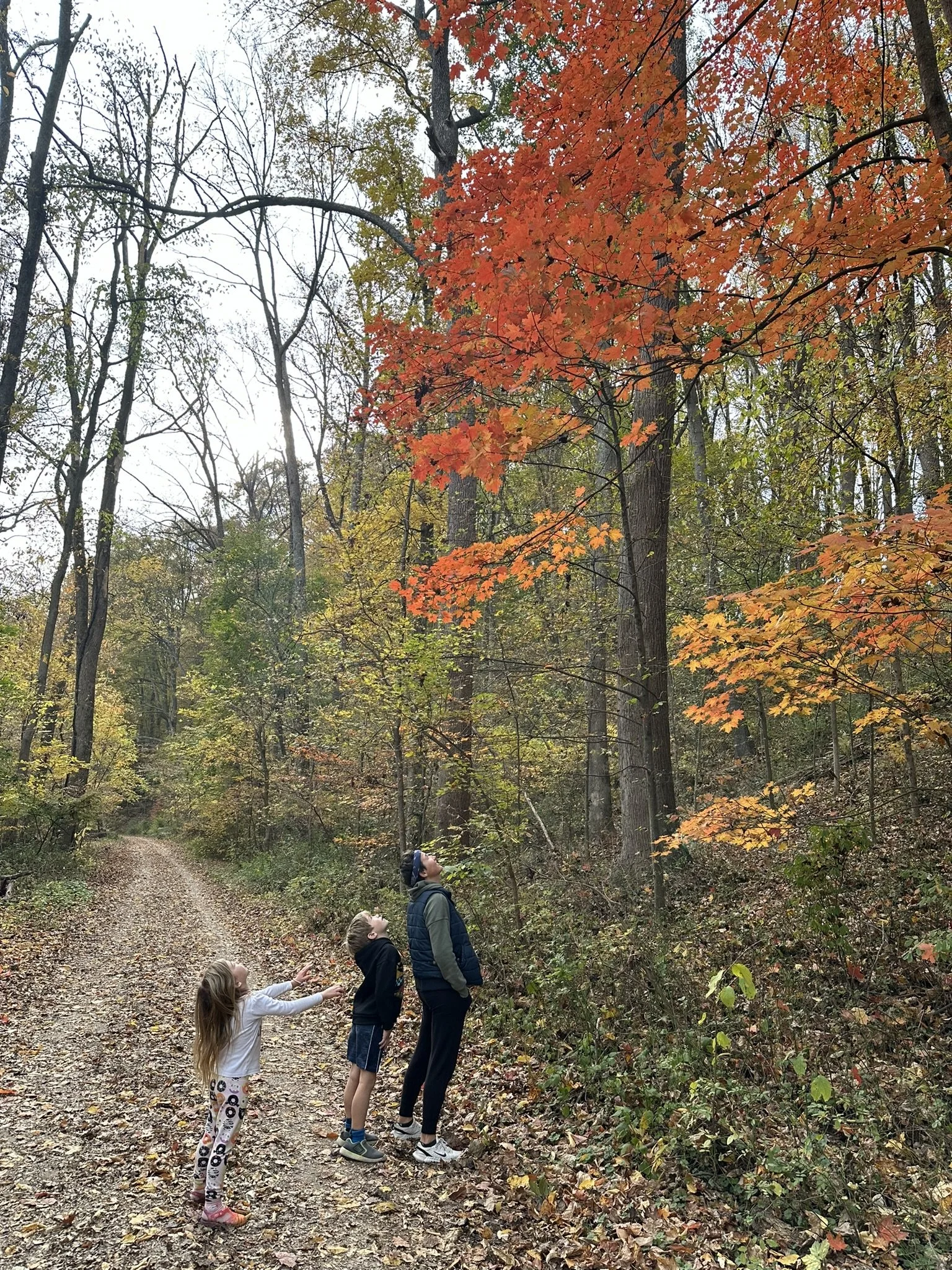 Two children and their mother are standing on a dirt trail in a forest during autumn, looking up at orange and red fall foliage on the trees.