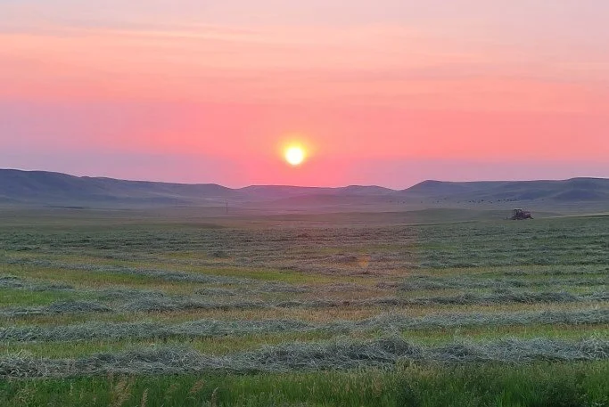 The North Dakota prairie puts on a pretty good show.