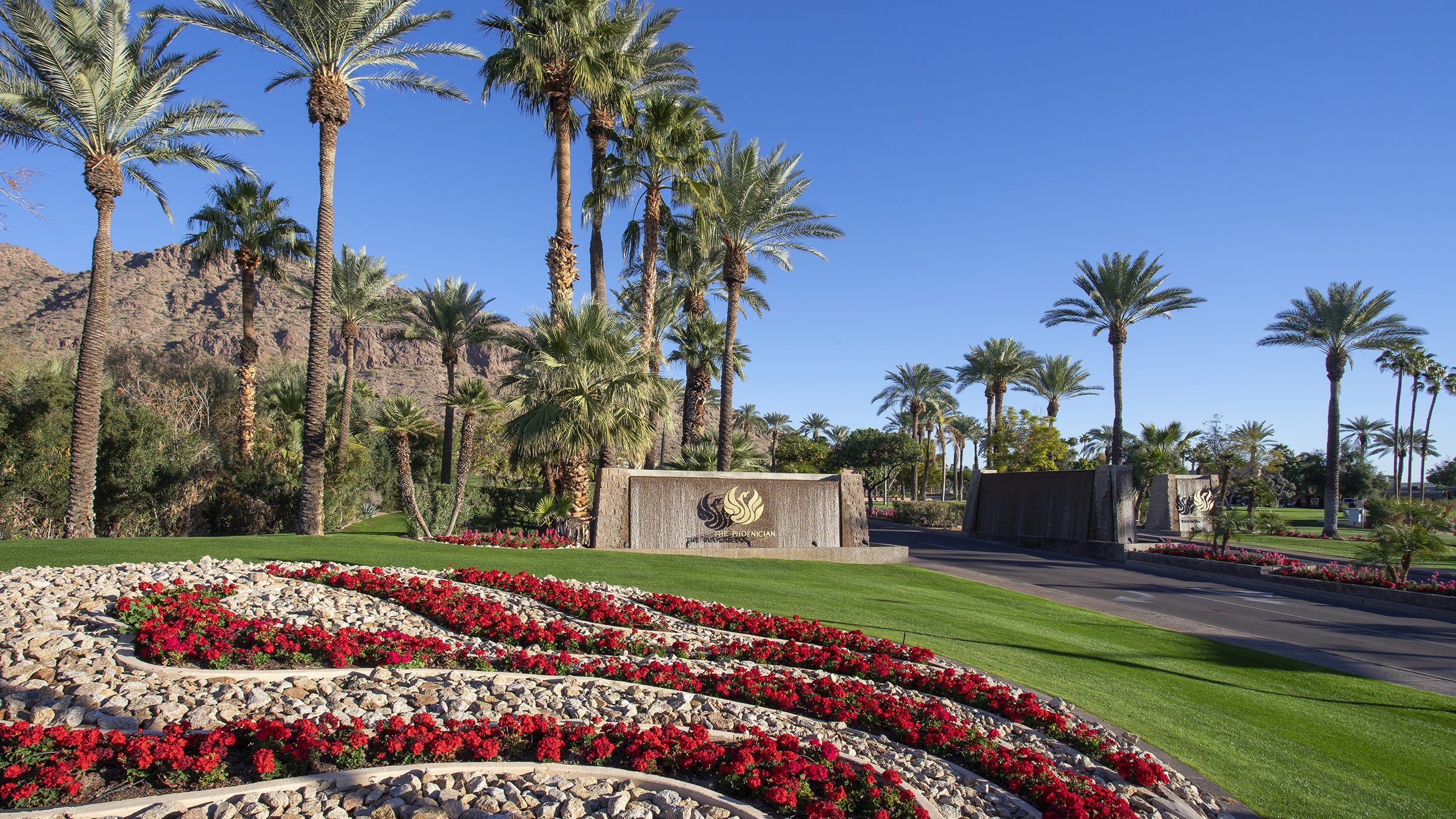 Flourishing landscape at the gateway to The Phoenician