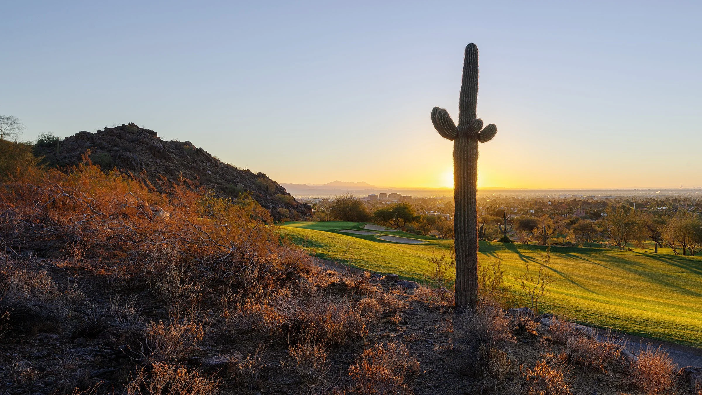 Desert landscape with a tall saguaro cactus in the foreground, rocky hill on the left, green golf course and cityscape in the background during sunset.