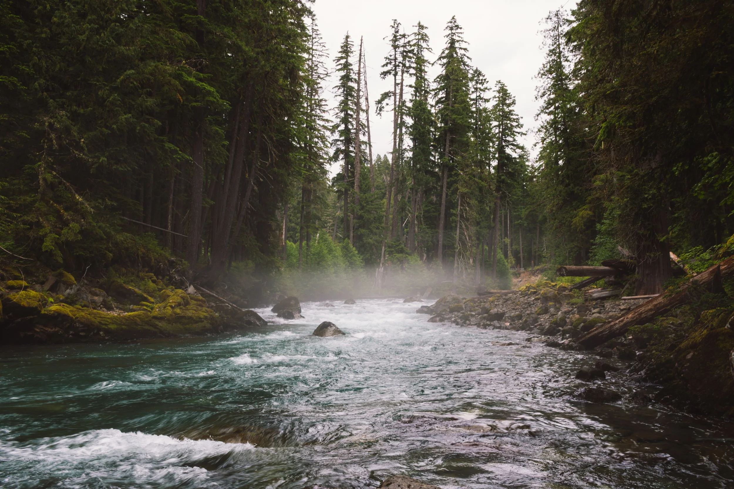 A river flowing through a forested landscape with tall pine trees and moss-covered rocks, with mist rising from the water.