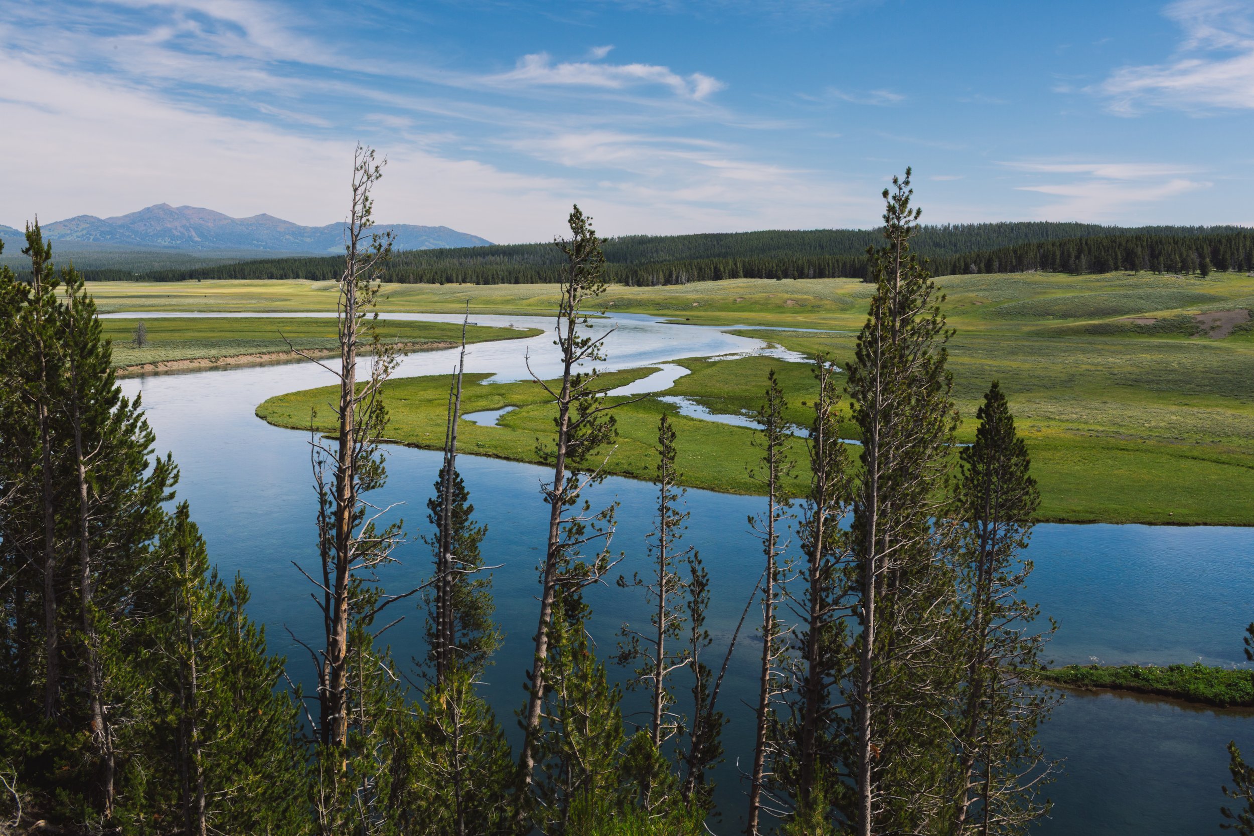 A scenic landscape featuring a winding river through green fields, tall pine trees in the foreground, forested hills, and mountains under a partly cloudy blue sky.
