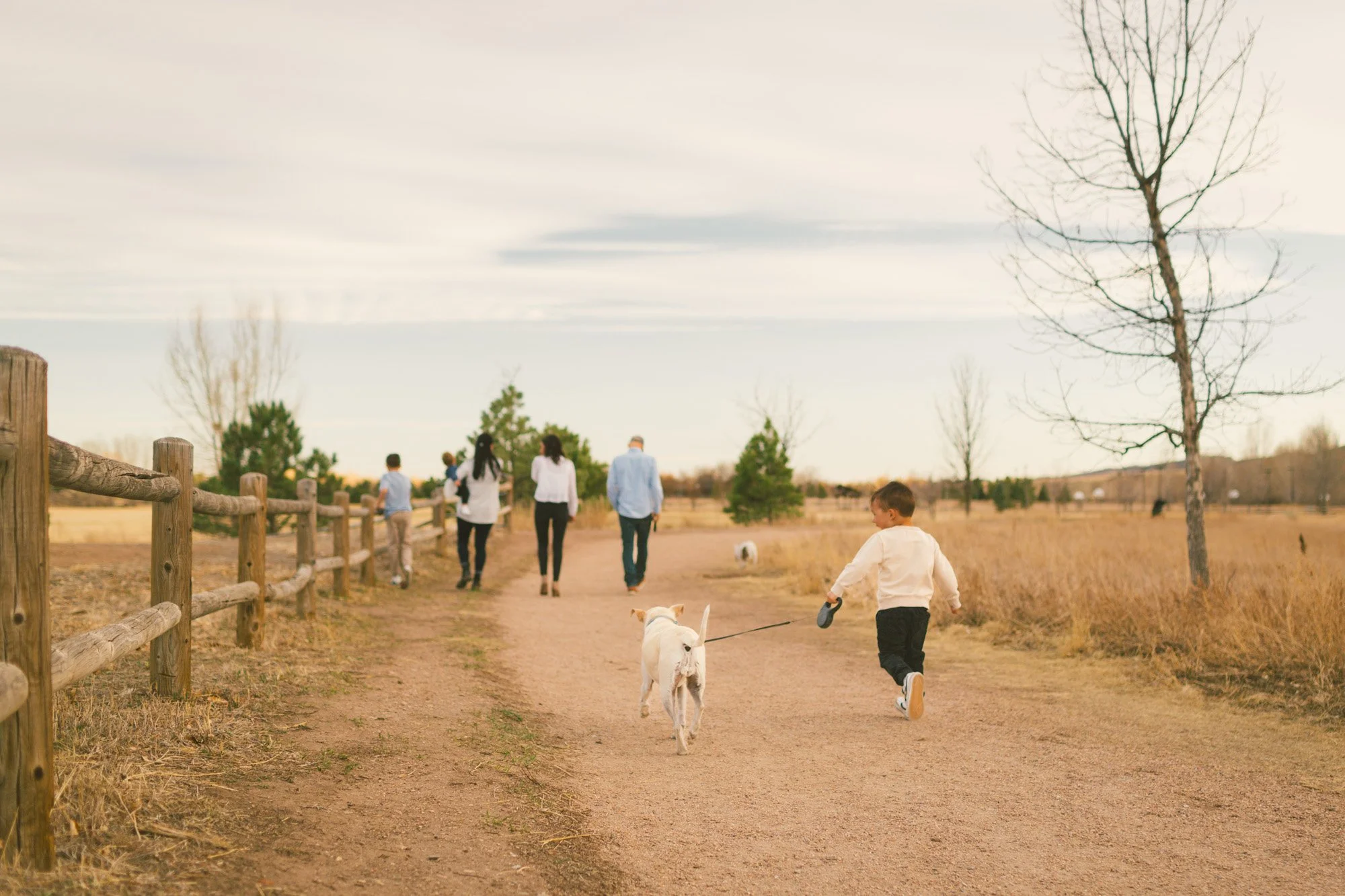 A boy walking a dog on a leash along a dirt path in a park with several people, trees, and a cloudy sky in the background.