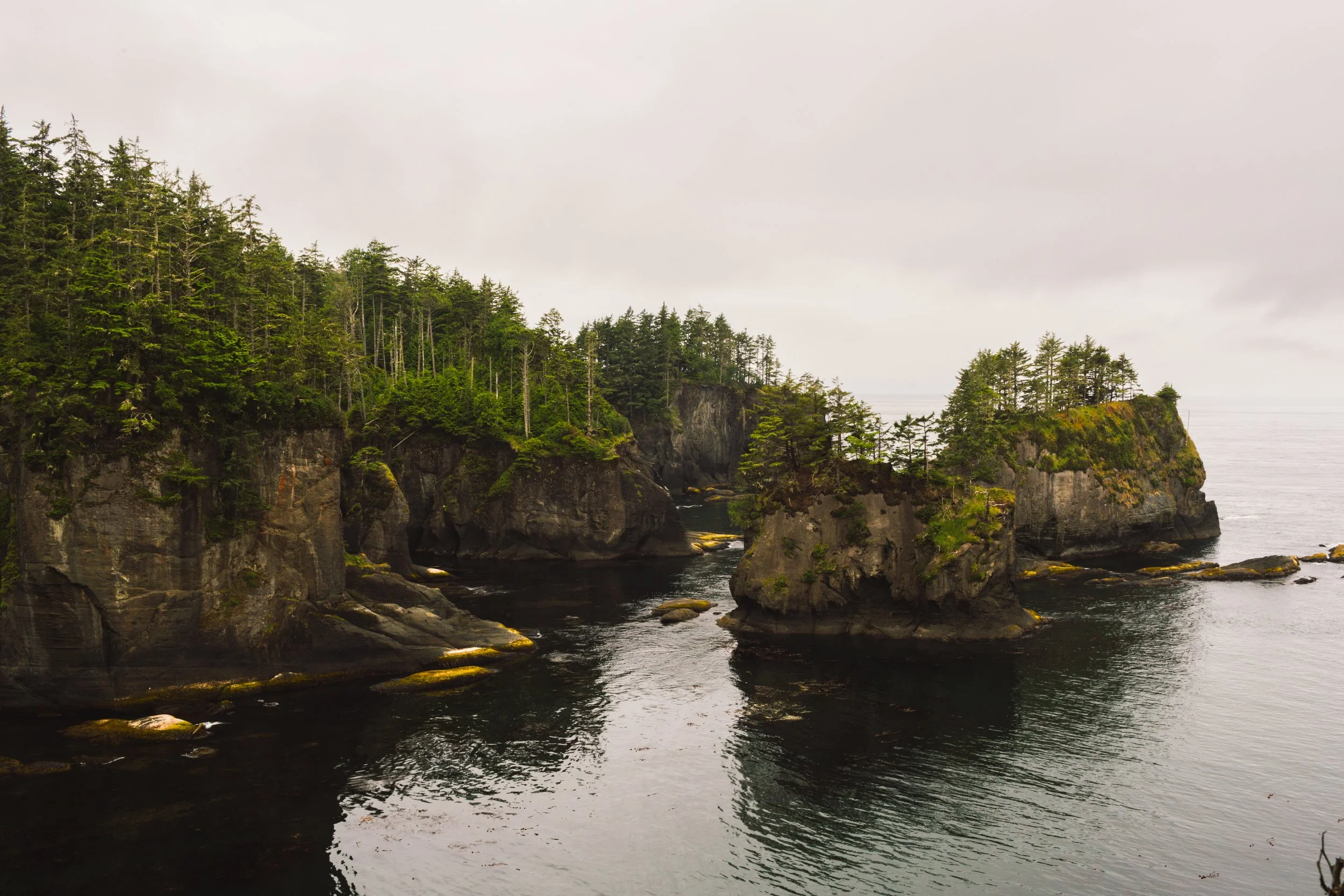 Cliffs covered in green trees extend into the ocean on a cloudy day.