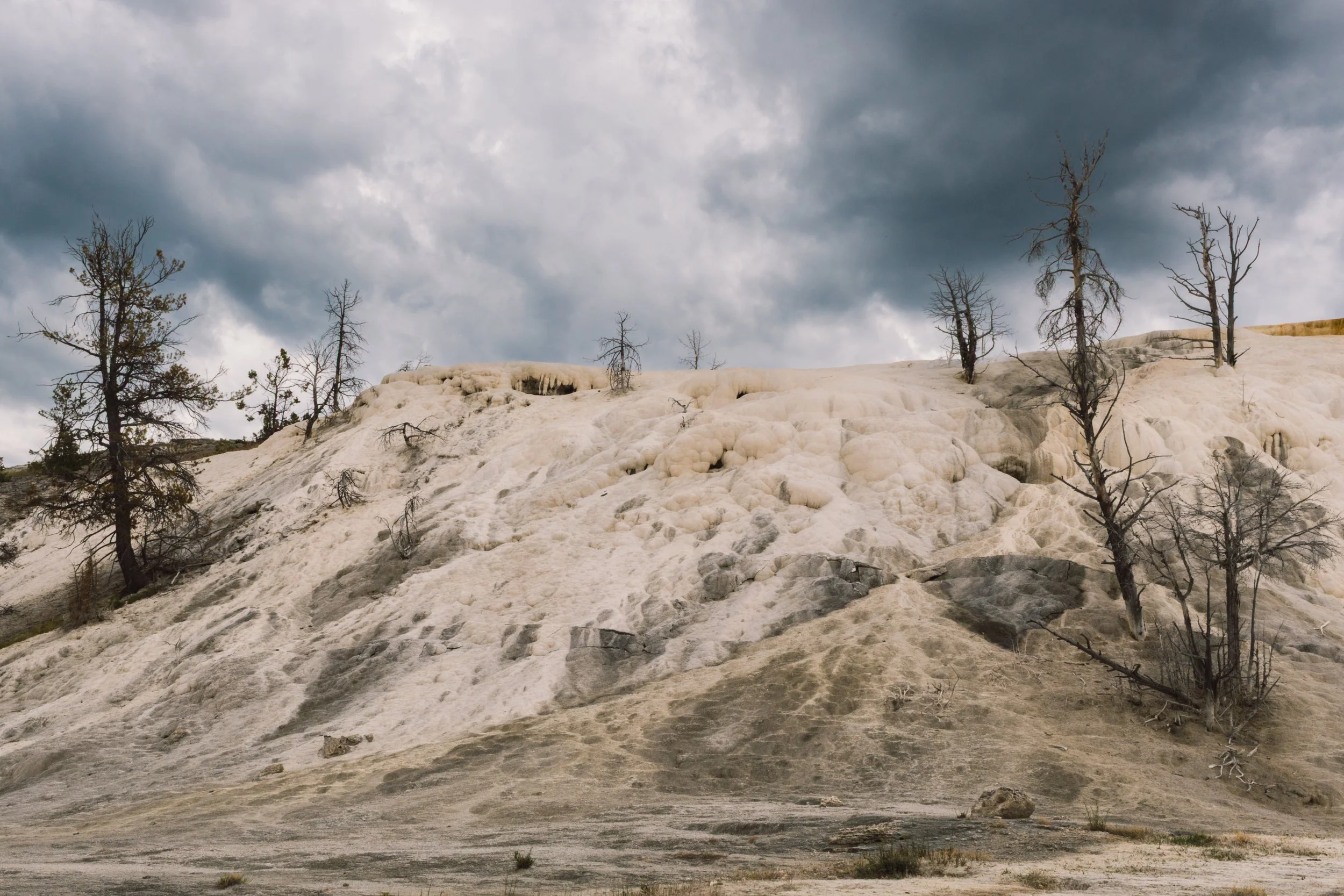 A barren landscape with a rocky, white terrain and leafless trees under a cloudy gray sky.