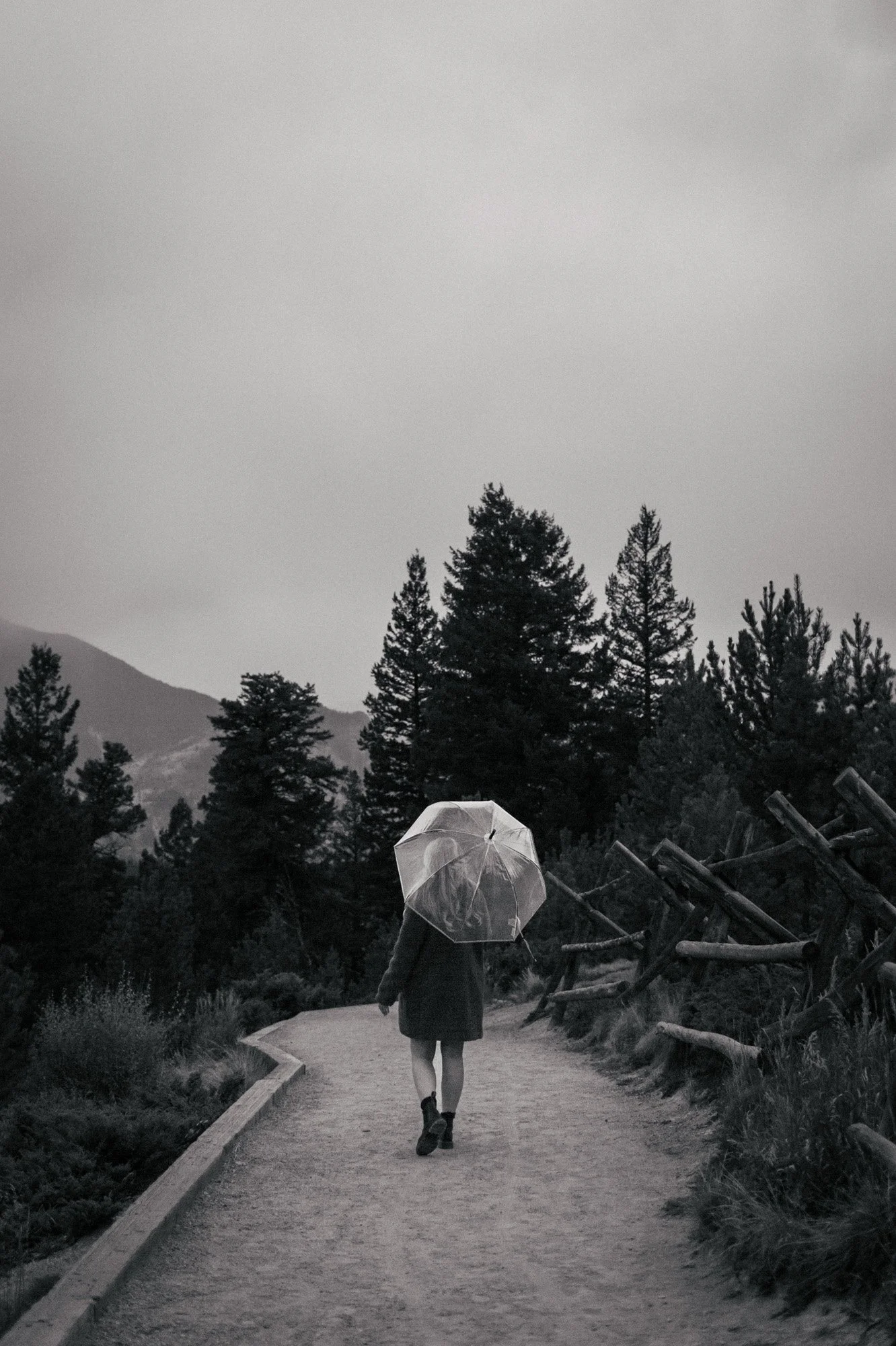 A person walking on a paved trail in a forested area with tall pine trees, holding a clear umbrella, on a cloudy day.