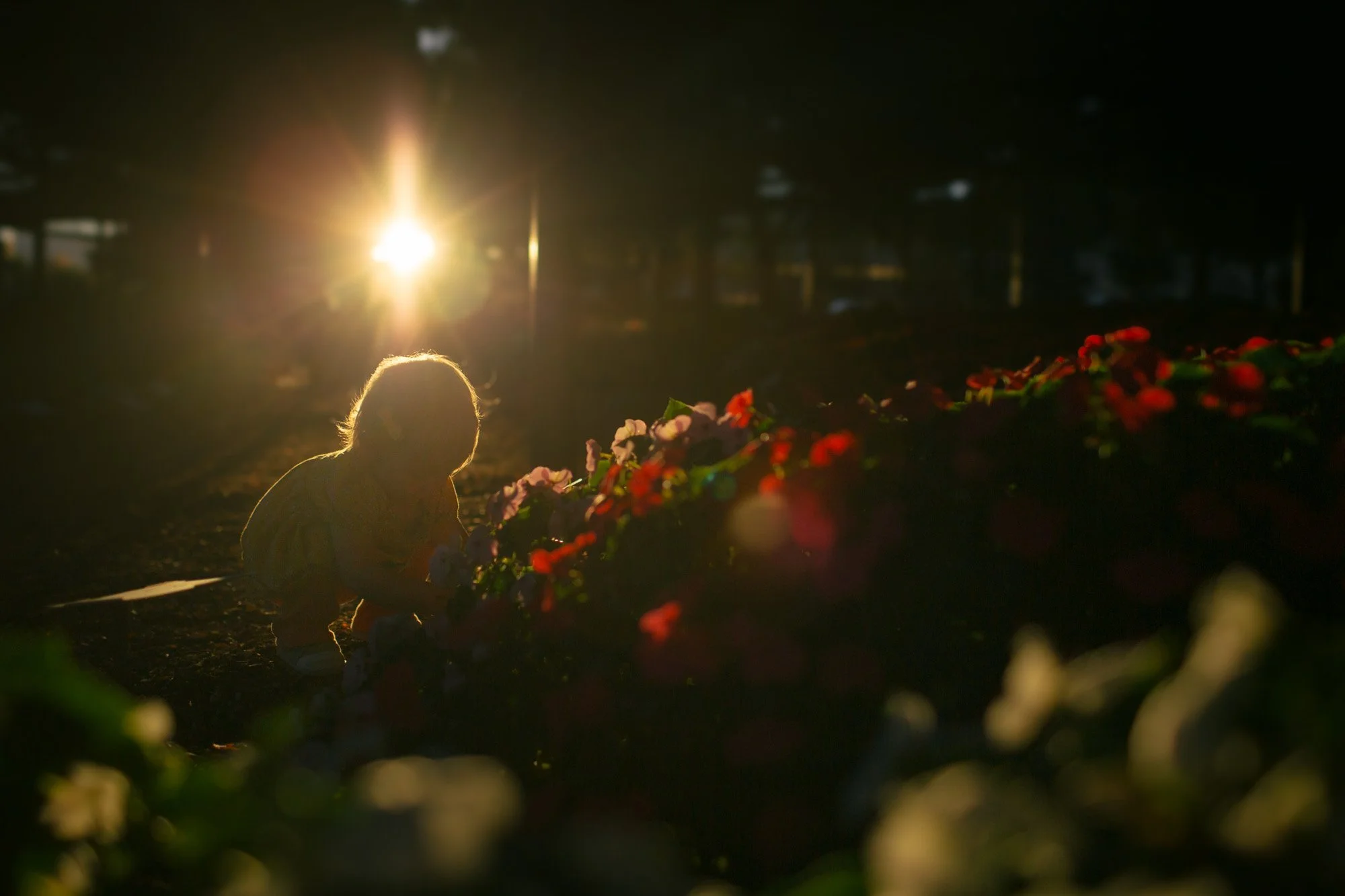 Child wearing a jacket among colorful flowers at sunset or dusk.