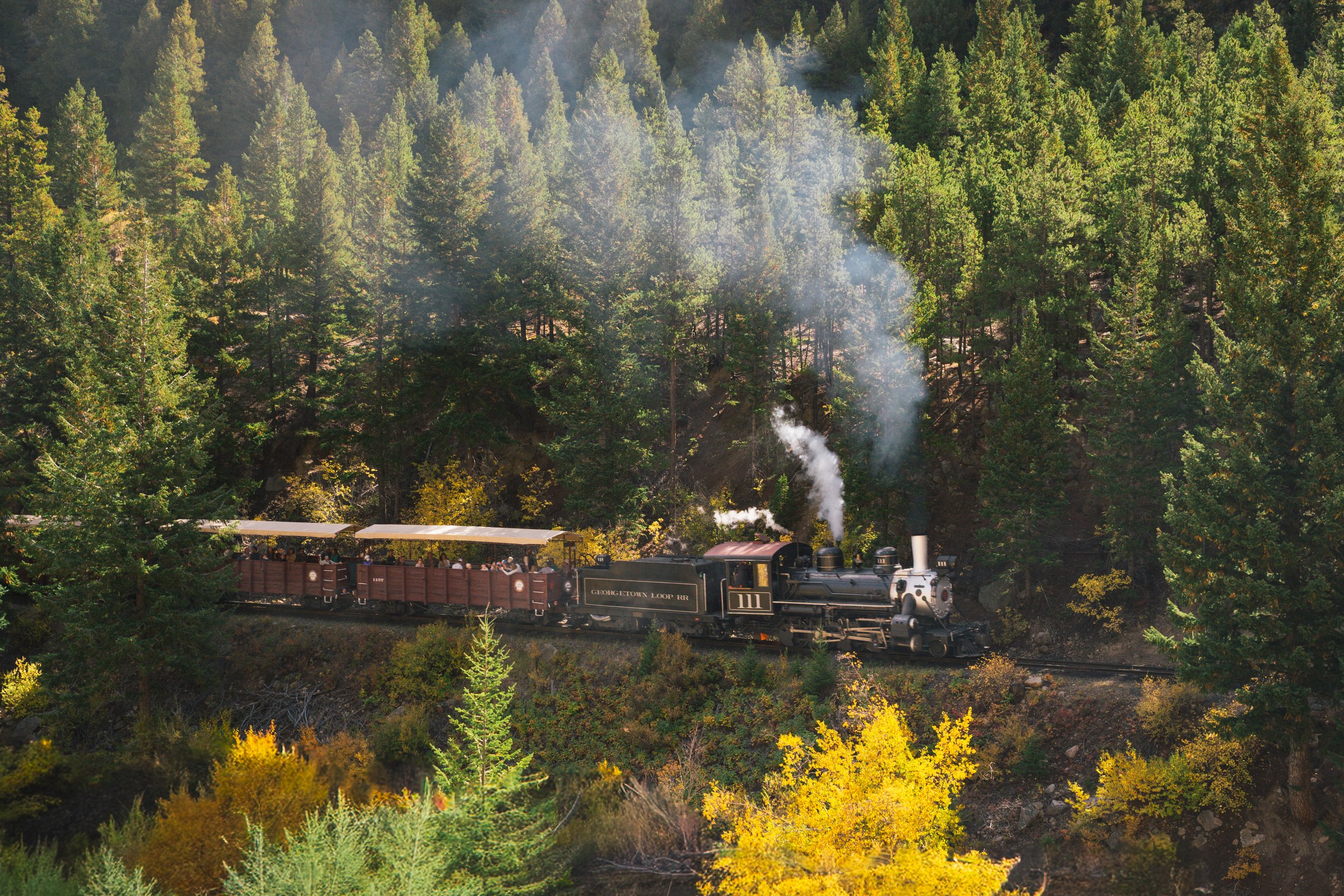A vintage steam train traveling through a dense forest with tall green trees, smoke rising from its engine, and sunlight filtering through the foliage.