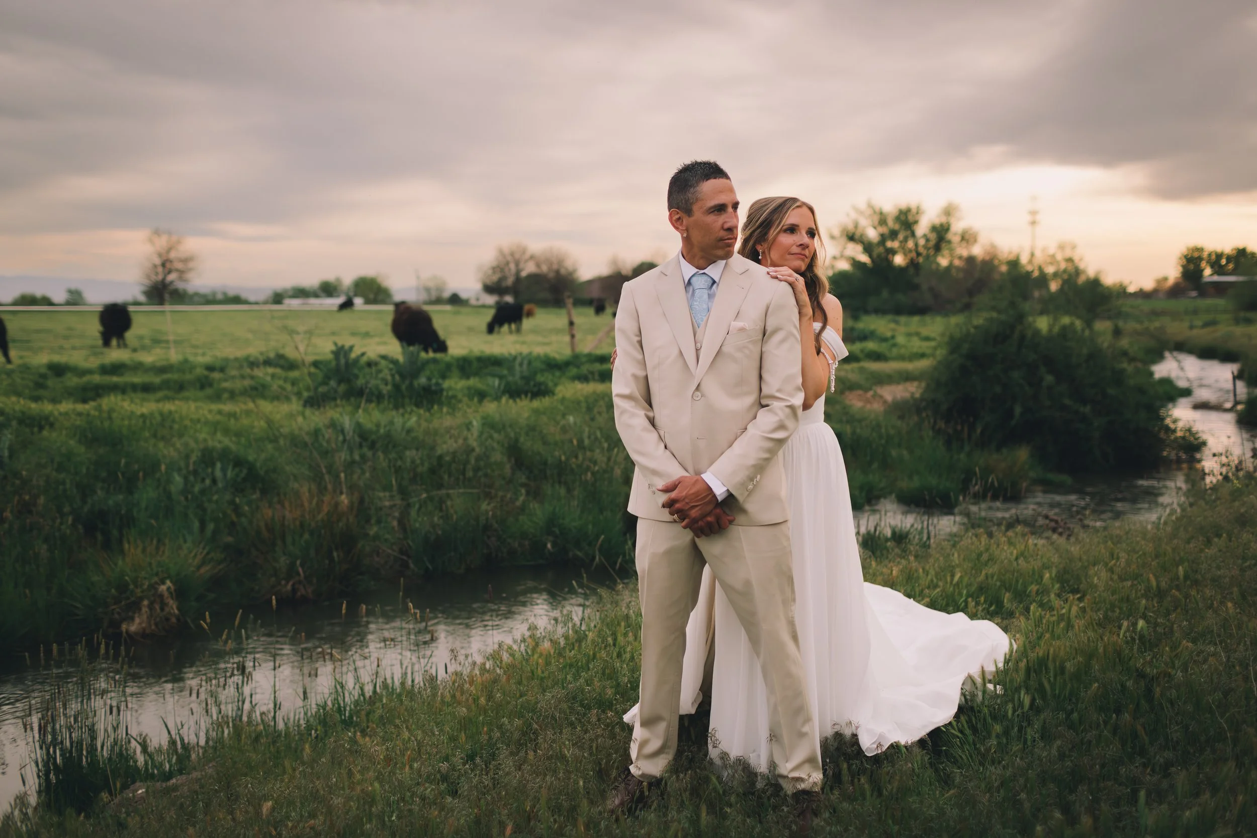 A man and woman dressed in wedding attire standing outdoors in a grassy area near a stream, with cows grazing in the background, under a cloudy sky.