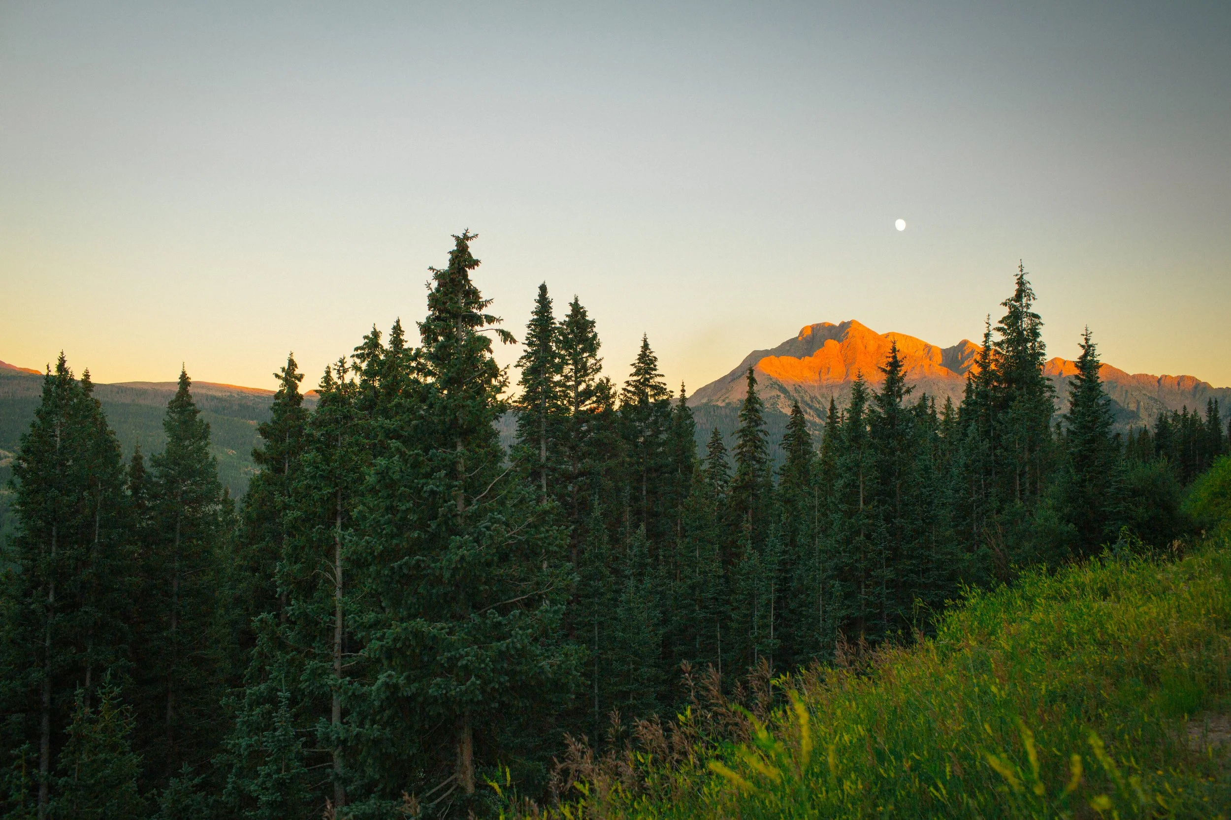A landscape of tall pine trees with a mountain bathed in orange sunlight in the background and a white moon in the clear sky.
