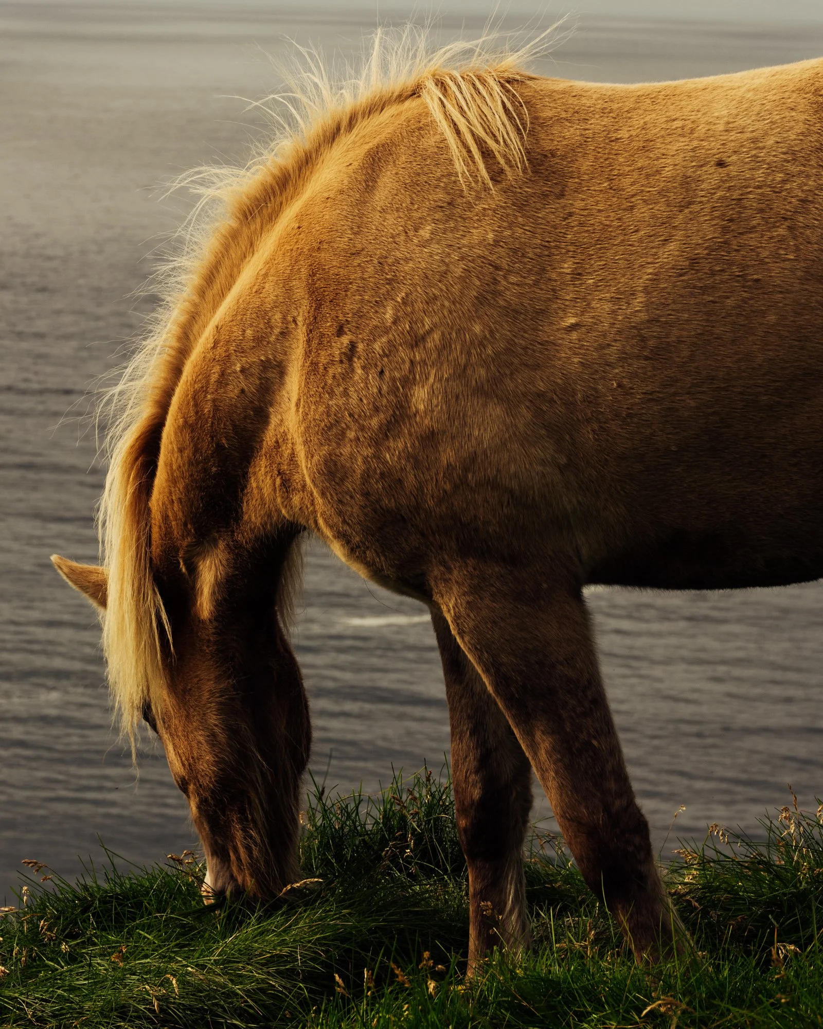 Iceland_NGE_082024SE_WEB-21.jpg