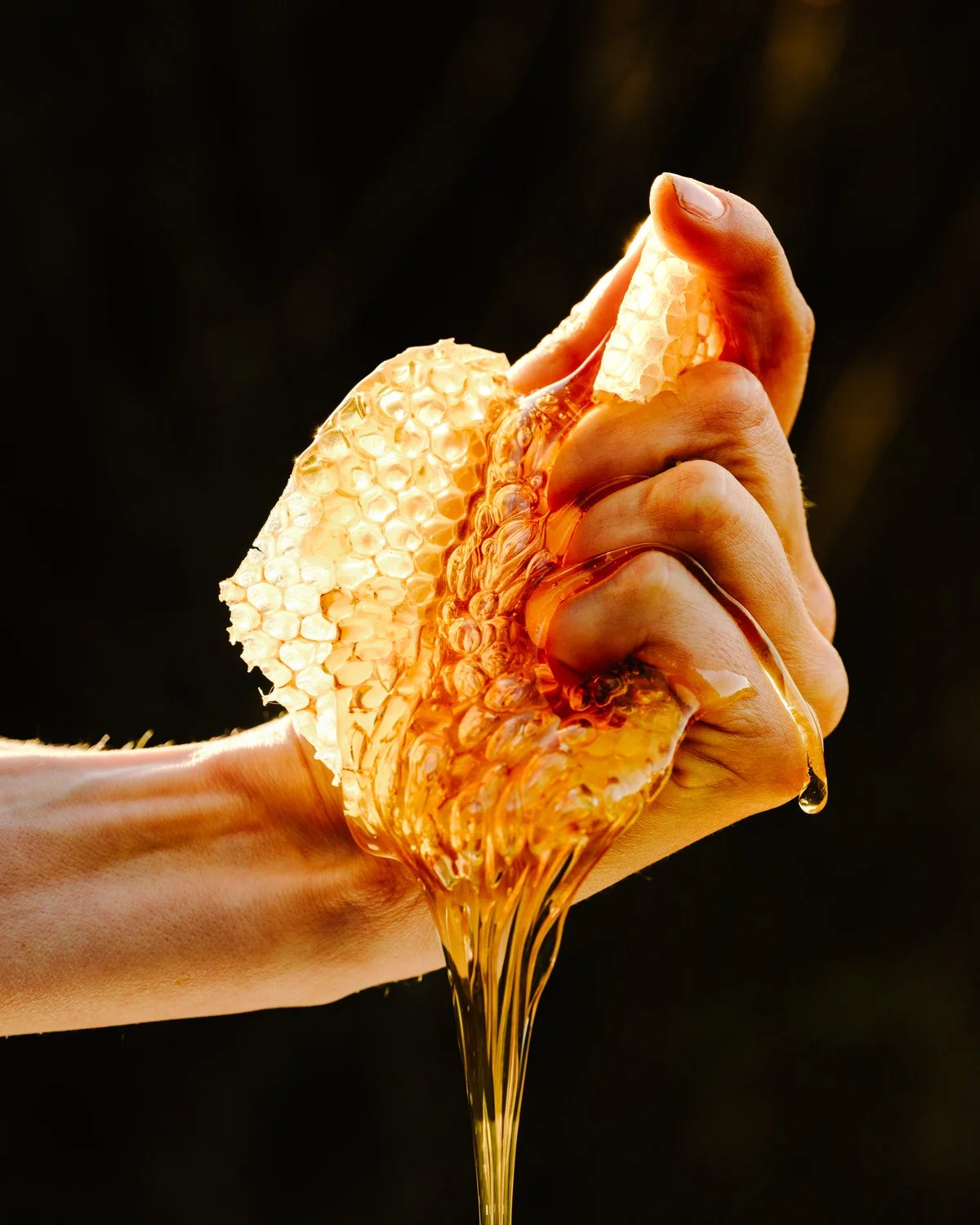 A hand squeezing honeycomb, causing honey to ooze out and drip down, with a dark background.