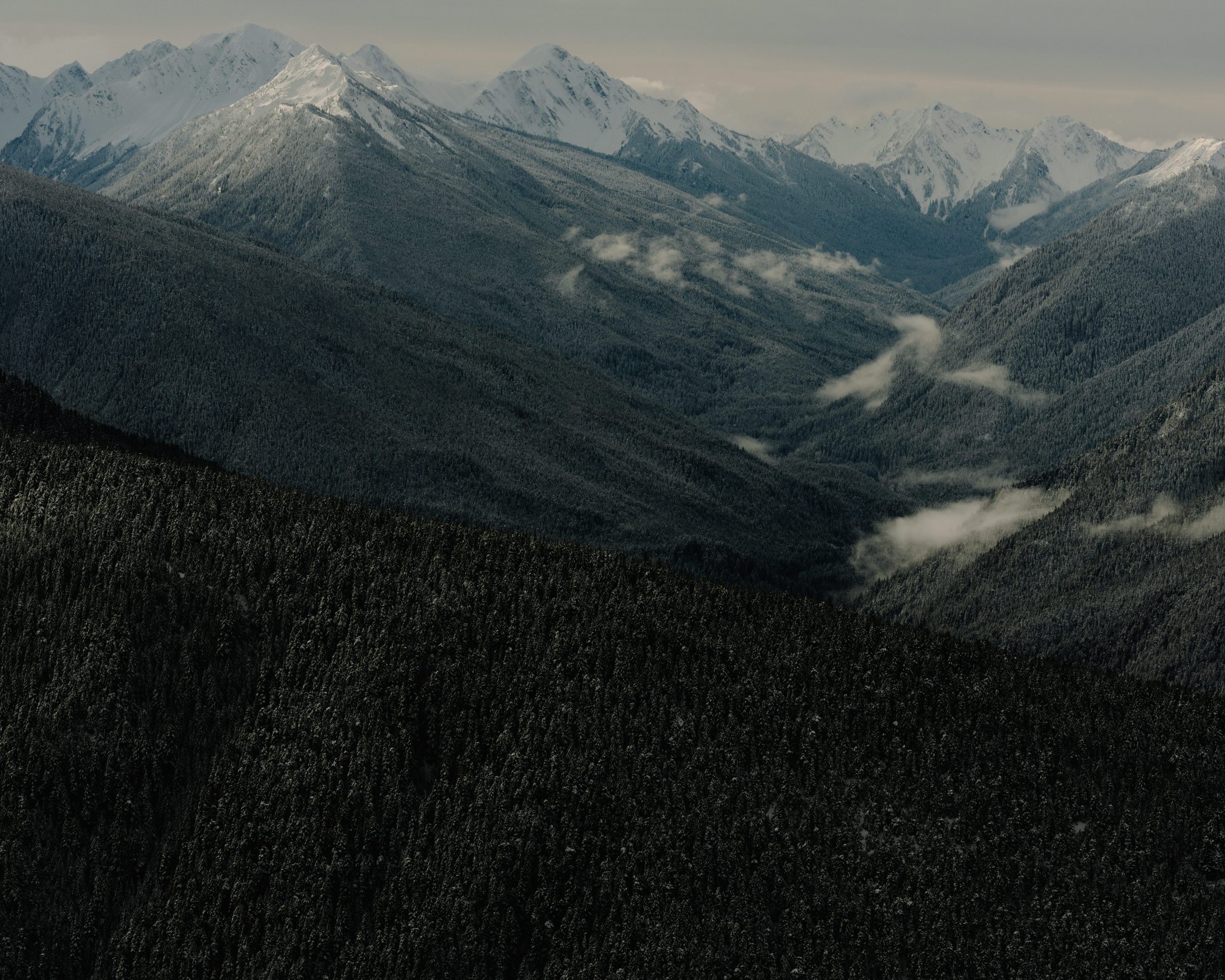 Olympic NP_SE_Alltrails032025HR-90.jpg