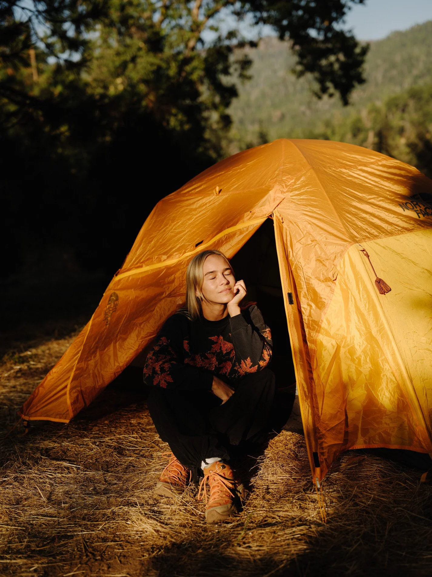 Sequoia NP_SE_092024HR-3.jpg