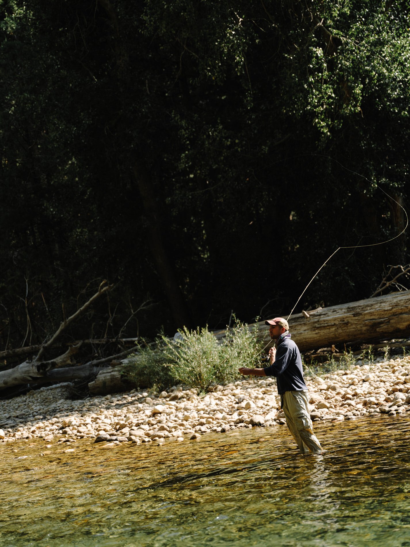 Sequoia NP_SE_092024HR-151.jpg