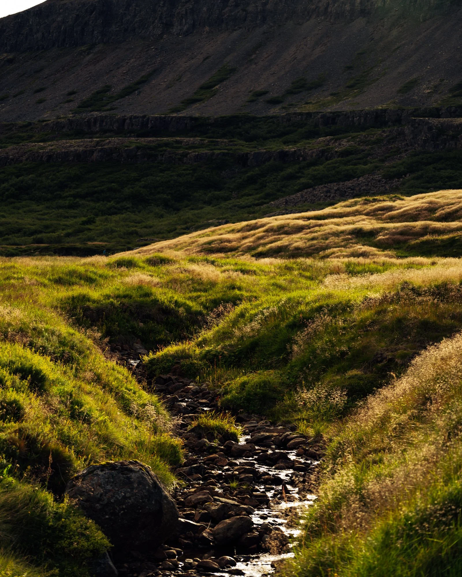 Iceland_NGE_082024SE_WEB-10.jpg