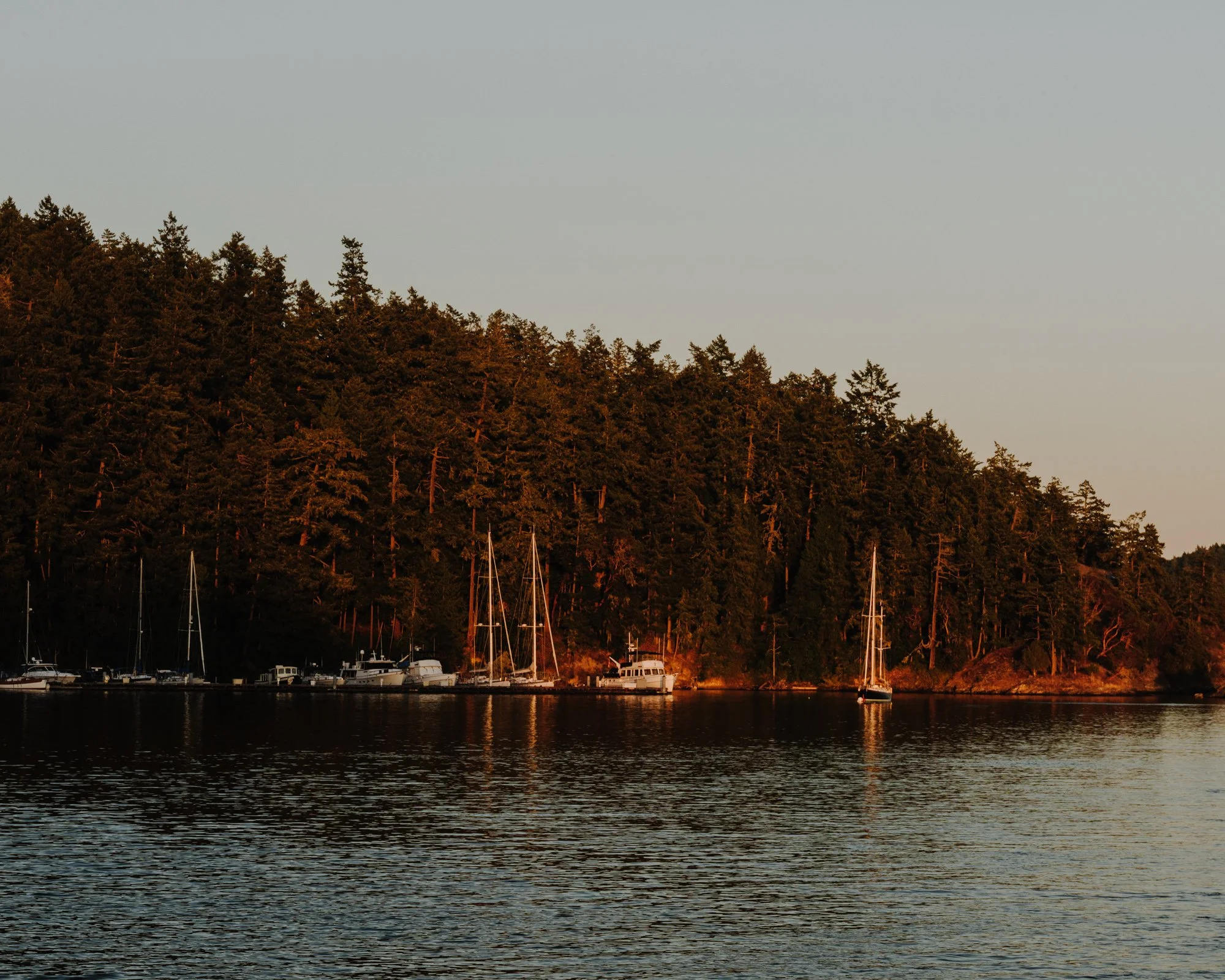 Washington Summer 2025_08LowRes-152.jpg