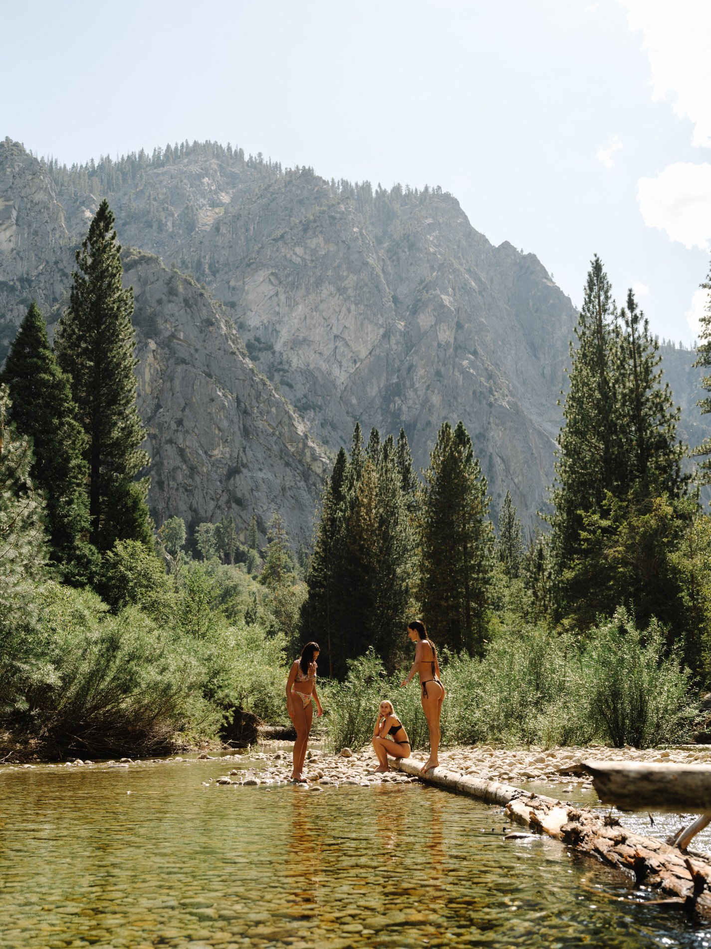 Sequoia NP_SE_092024HR-143.jpg