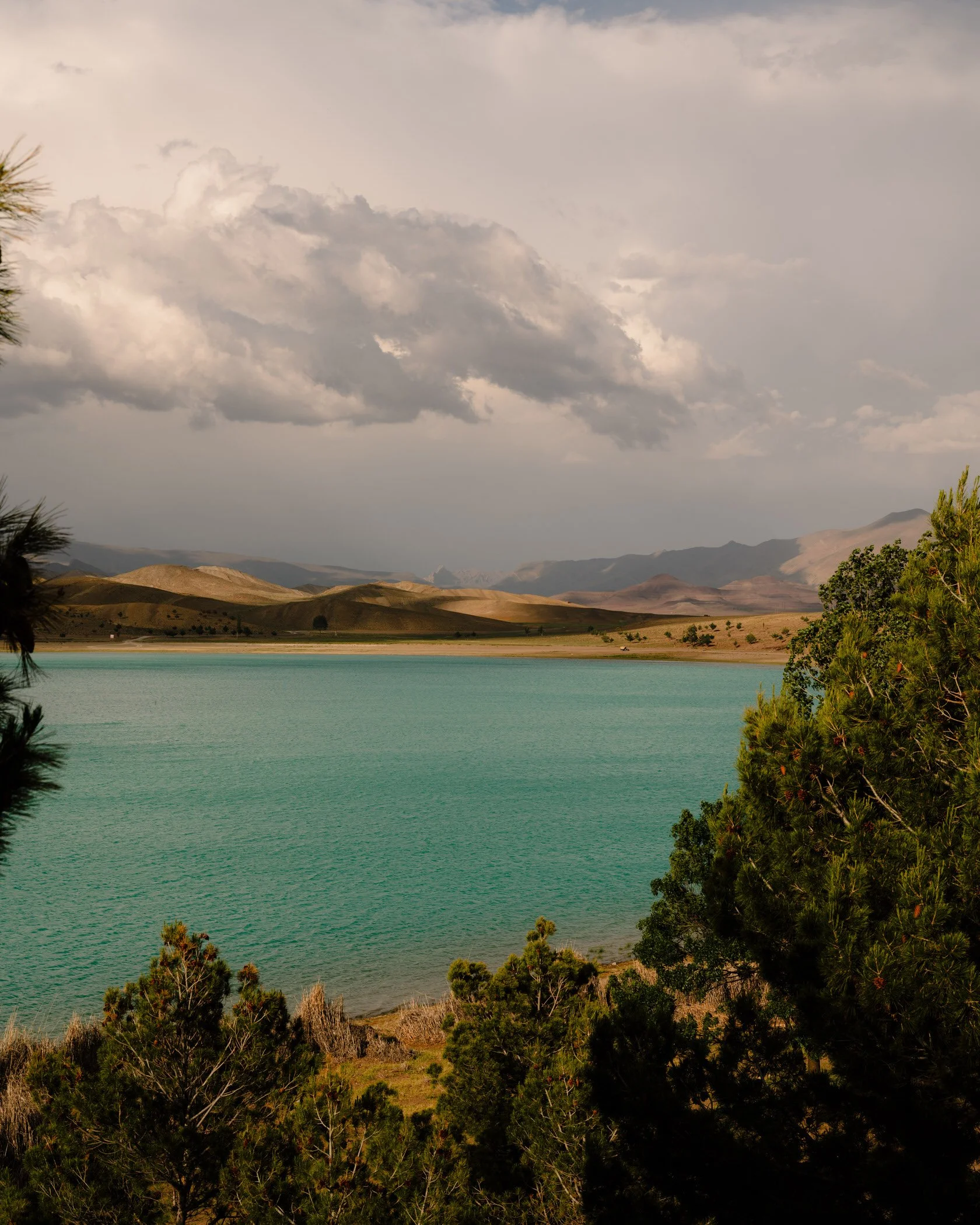 DSCF3386.jpg