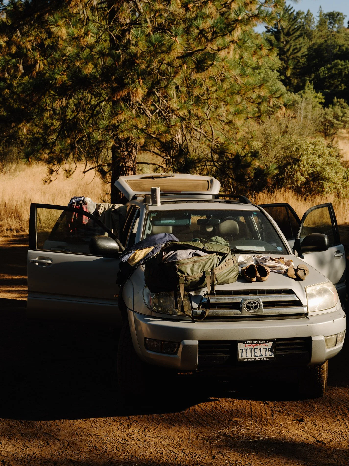Sequoia NP_SE_092024HR-73.jpg