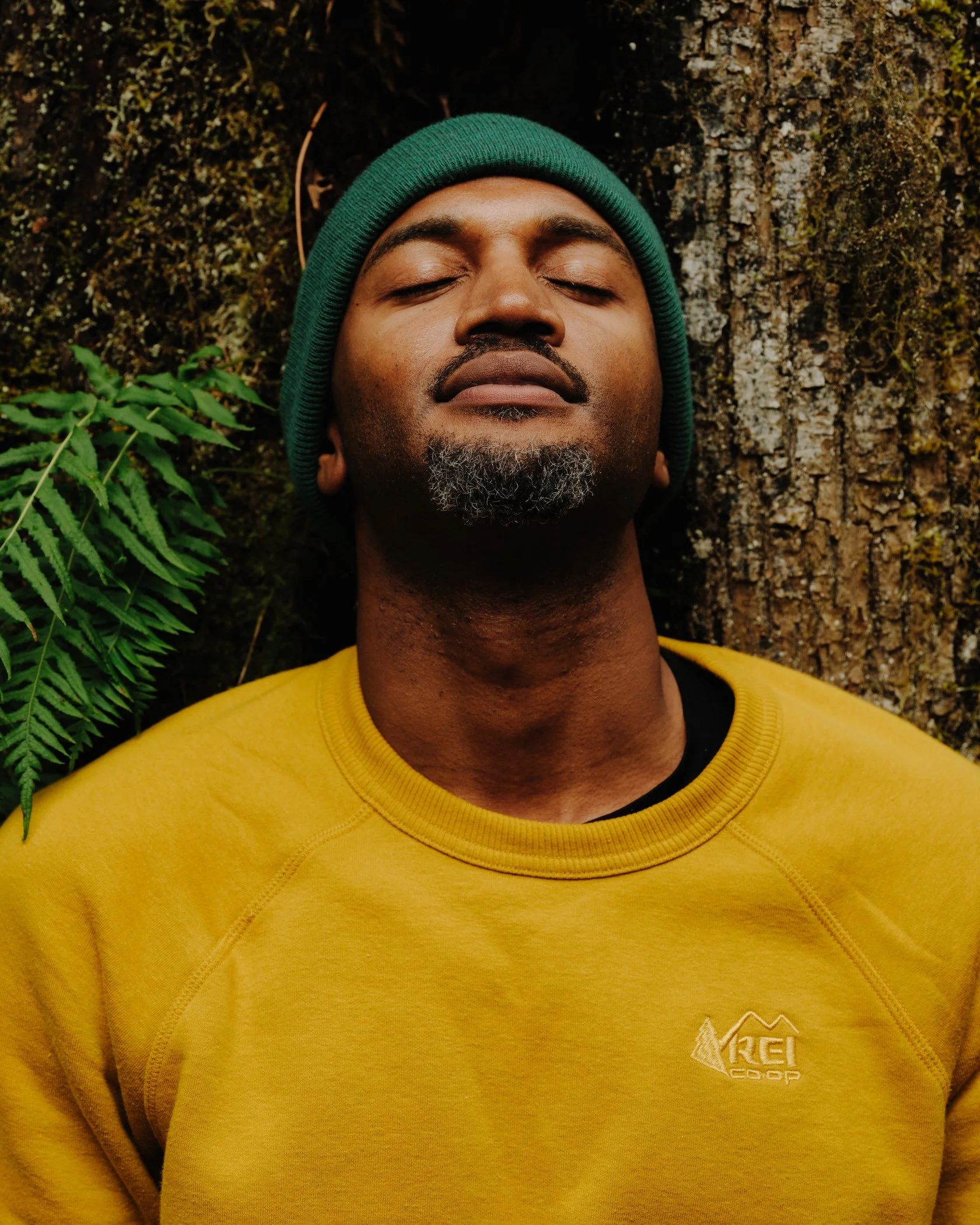 Close-up of a man with eyes closed, wearing a green beanie and a yellow sweatshirt with 'KEI COOP' logo, lying against a tree trunk with ferns nearby.