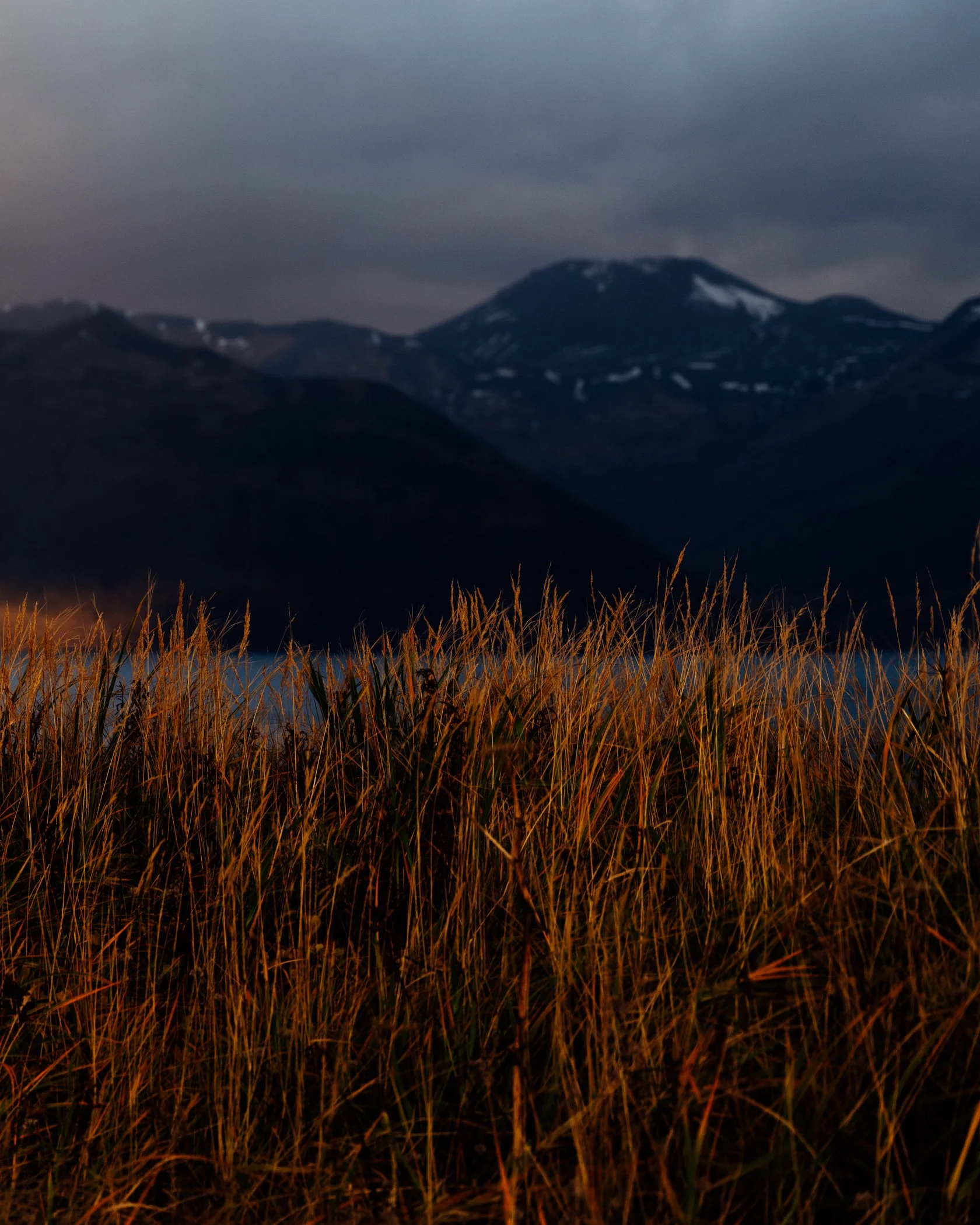 Dutch Harbor_HR_2024_Web-25.jpg