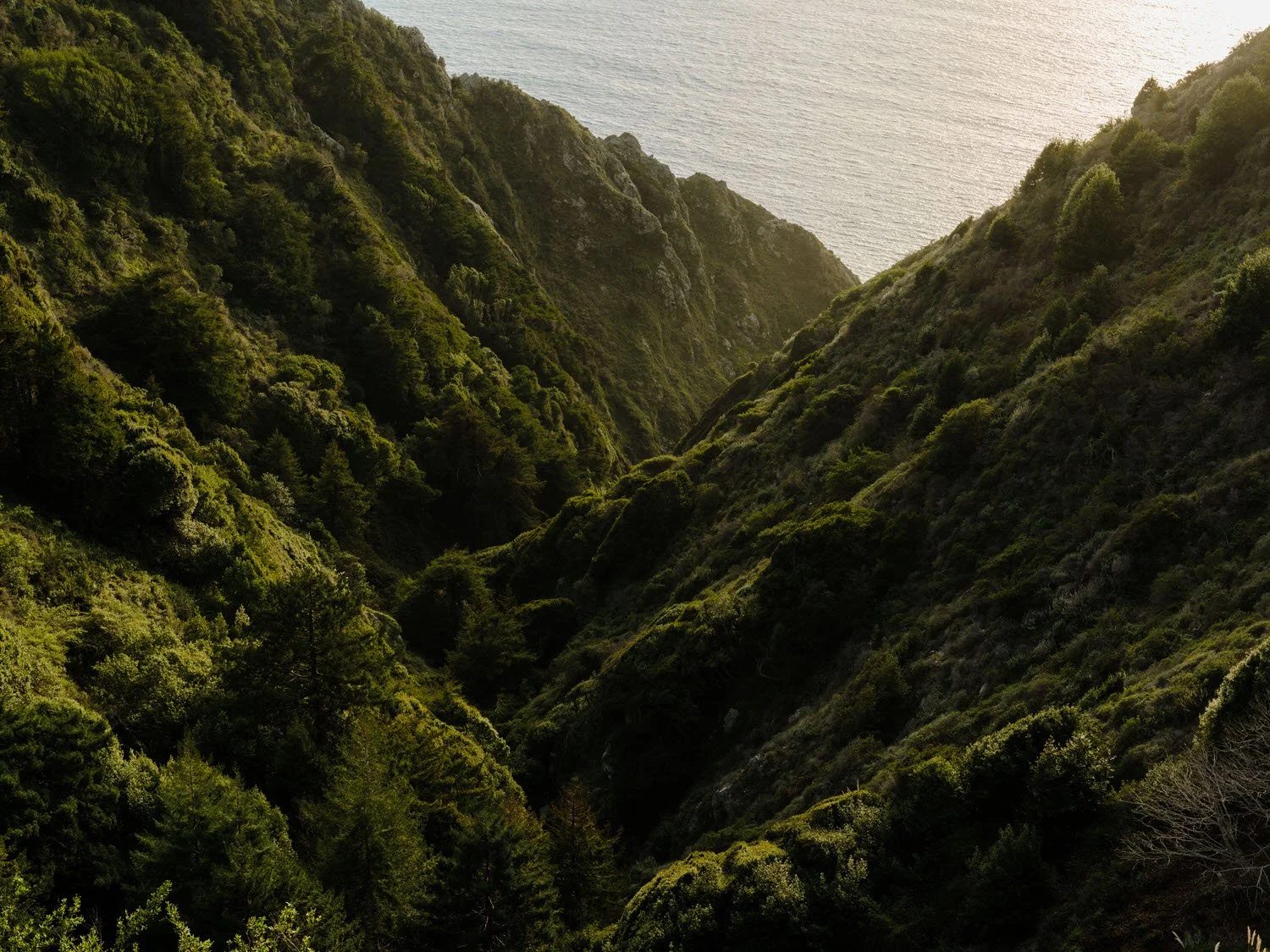 A lush green valley with steep hills covered in dense trees, leading towards the ocean in the background, under sunlight.
