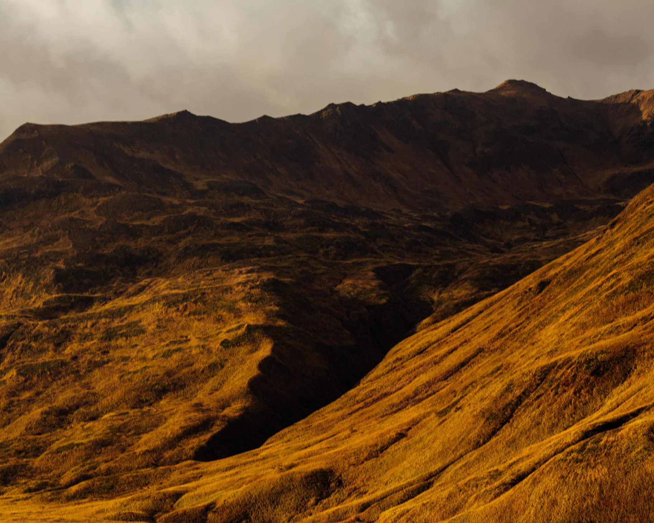 Dutch Harbor_HR_2024_Web-5.jpg