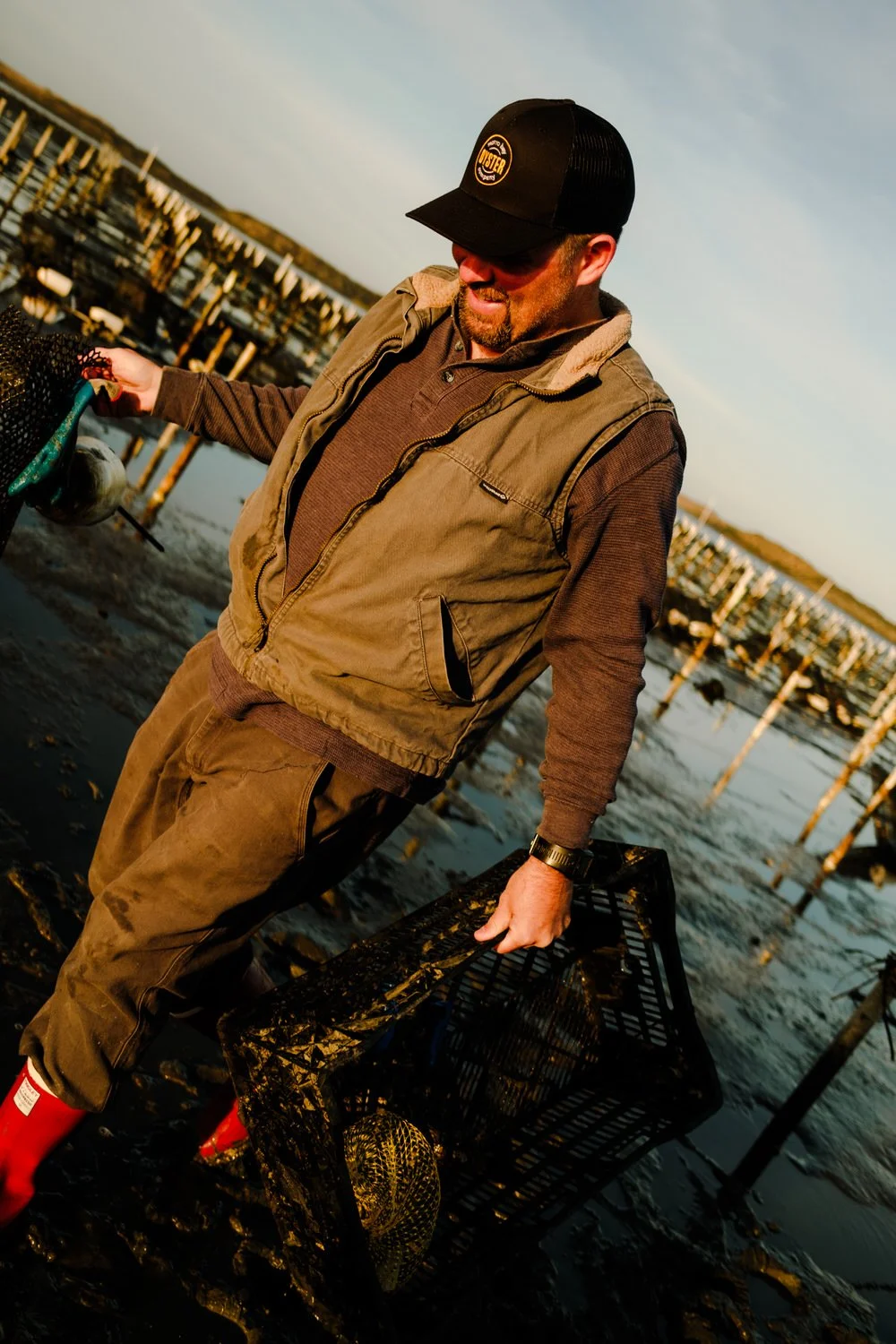 A man standing in a muddy oyster farm holding a black plastic crate and a net with oysters inside, wearing a baseball cap, vest, and red boots.